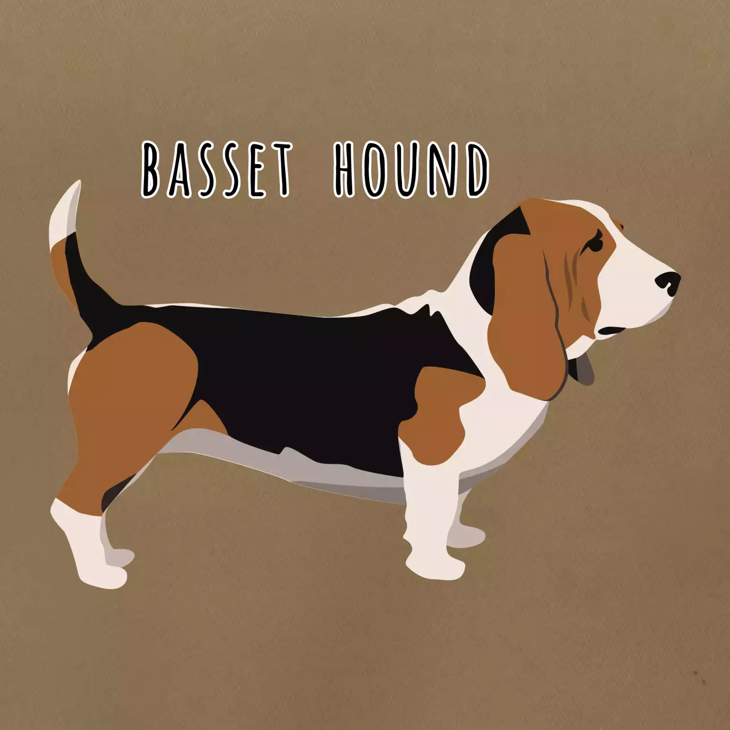 Basset hound pes s nápisem