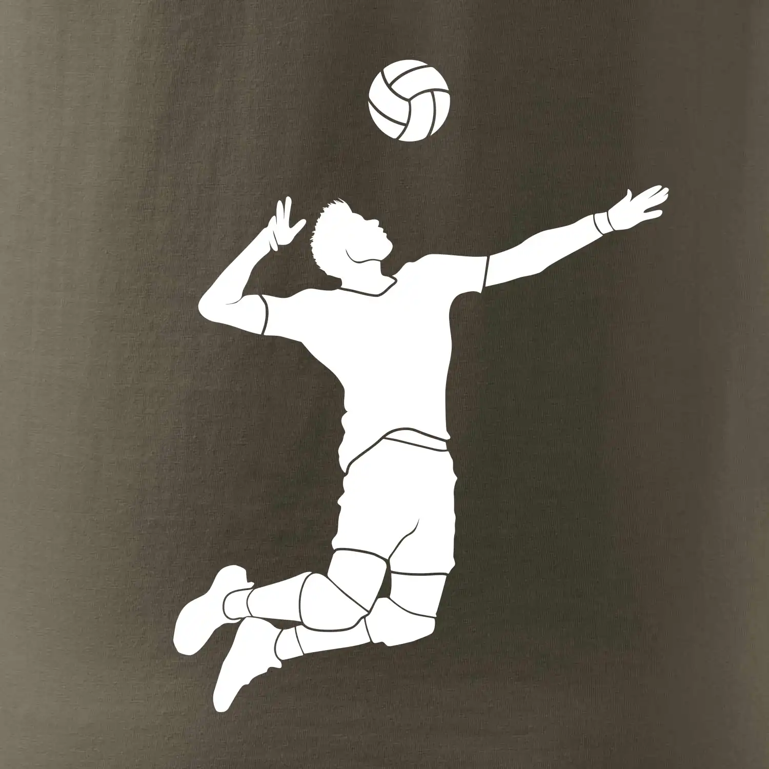 Volejbal nápřah muž