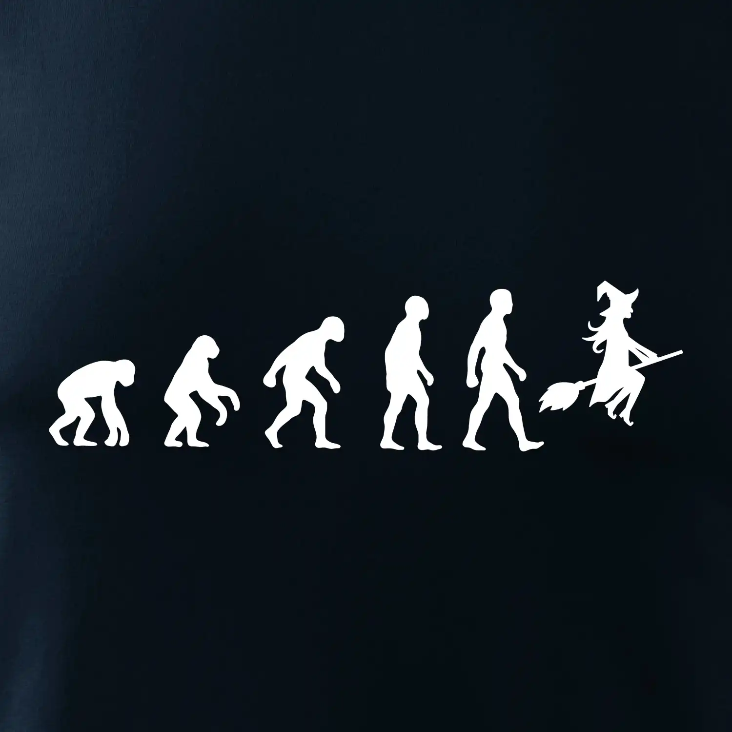 Evoluce čarodějnice