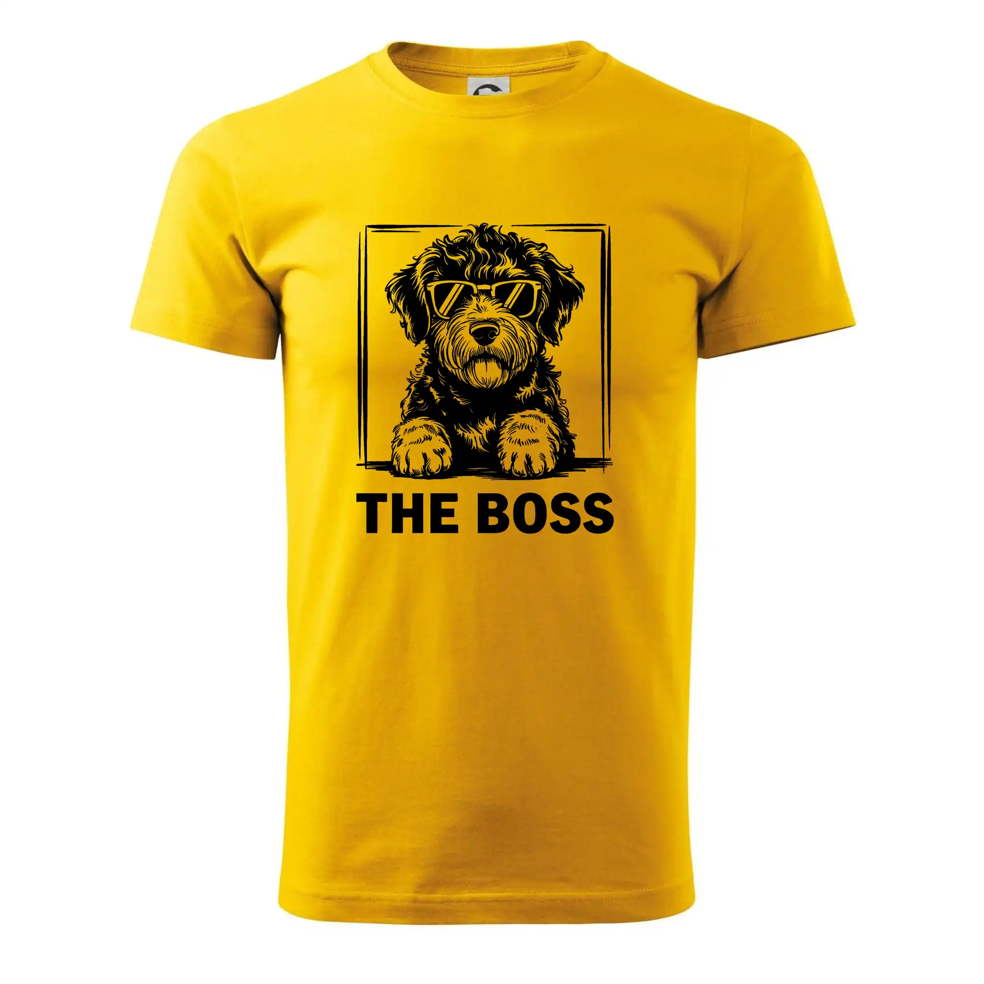 Lagotto romagnolo the boss