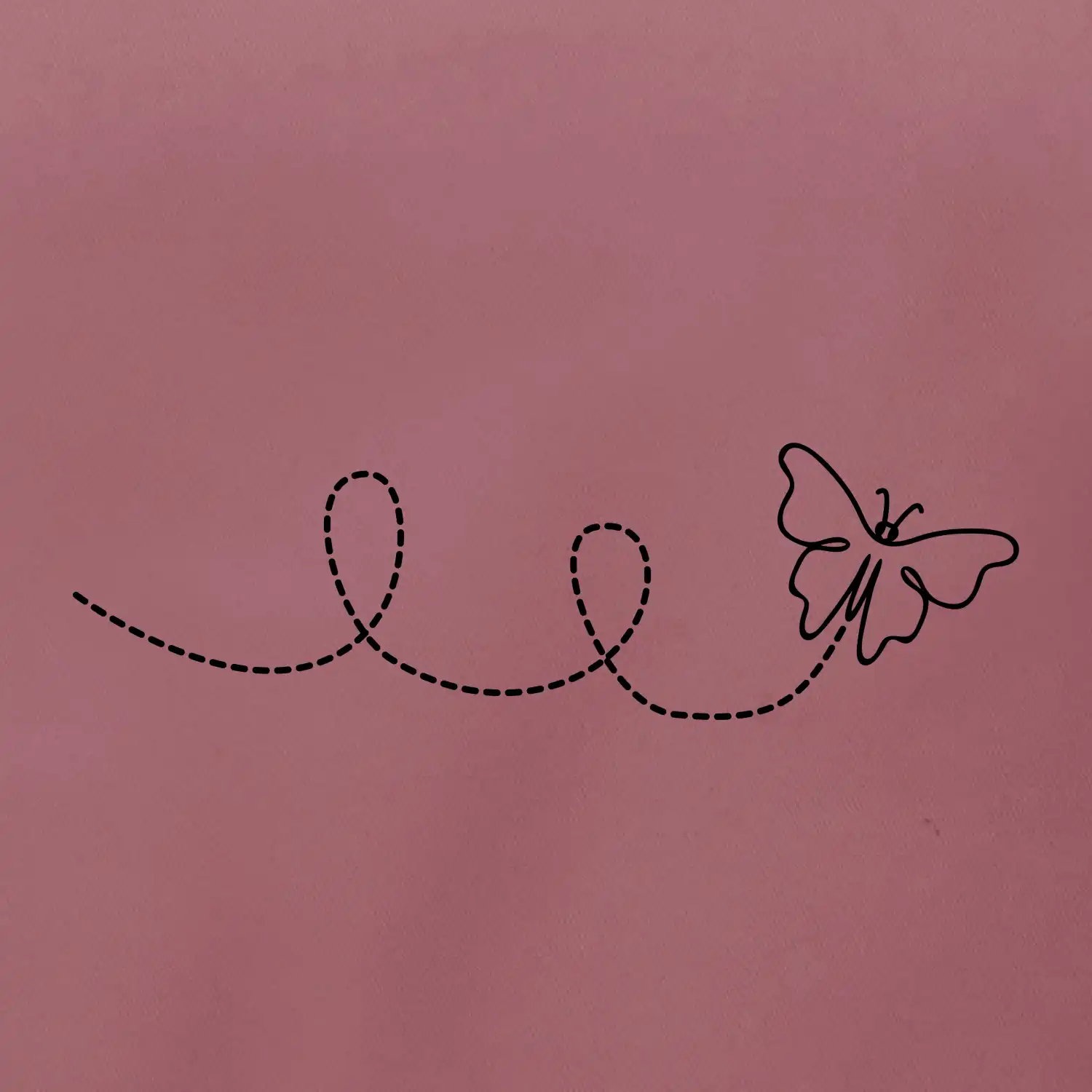 Dráha letu motýla - smyčka