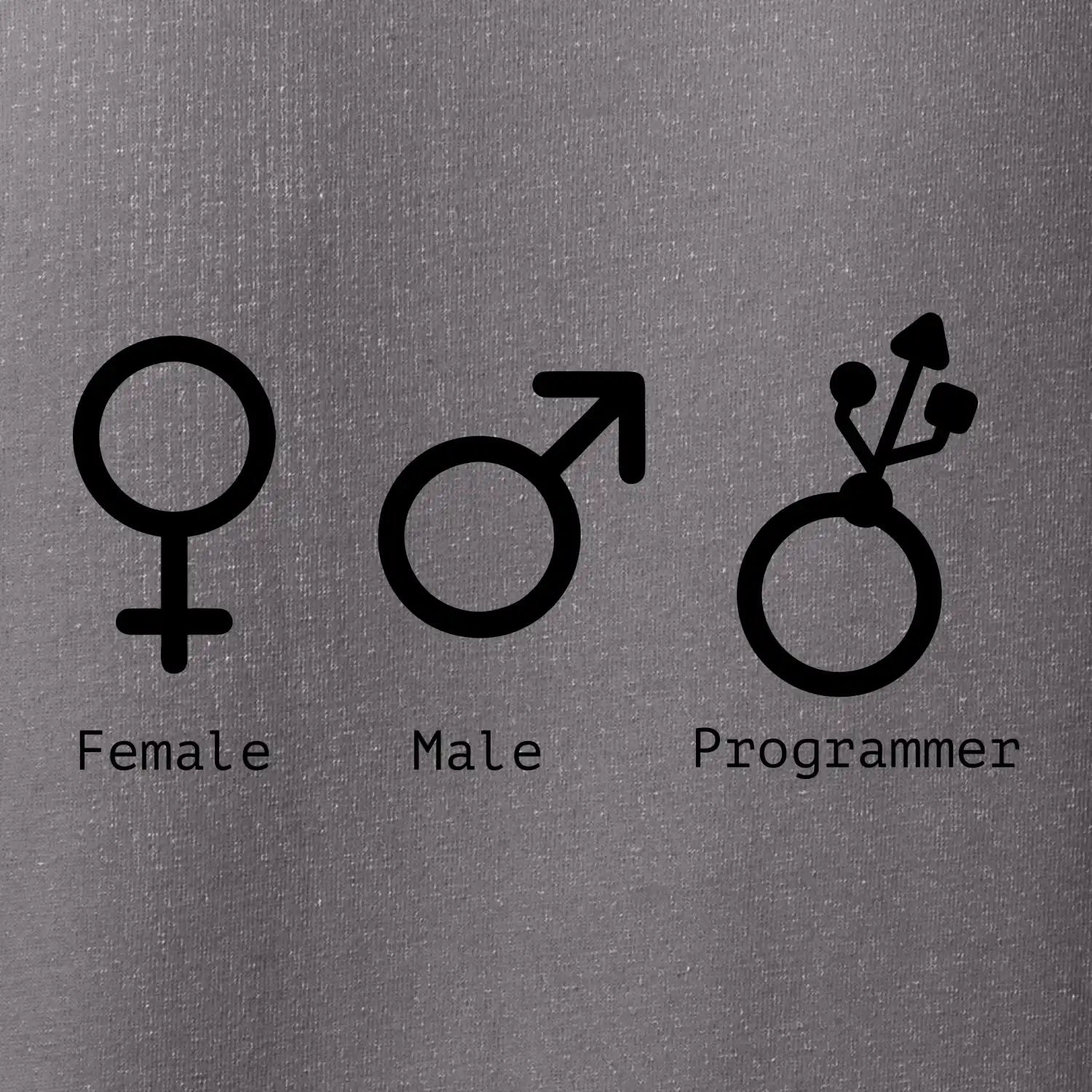 Female male programmer