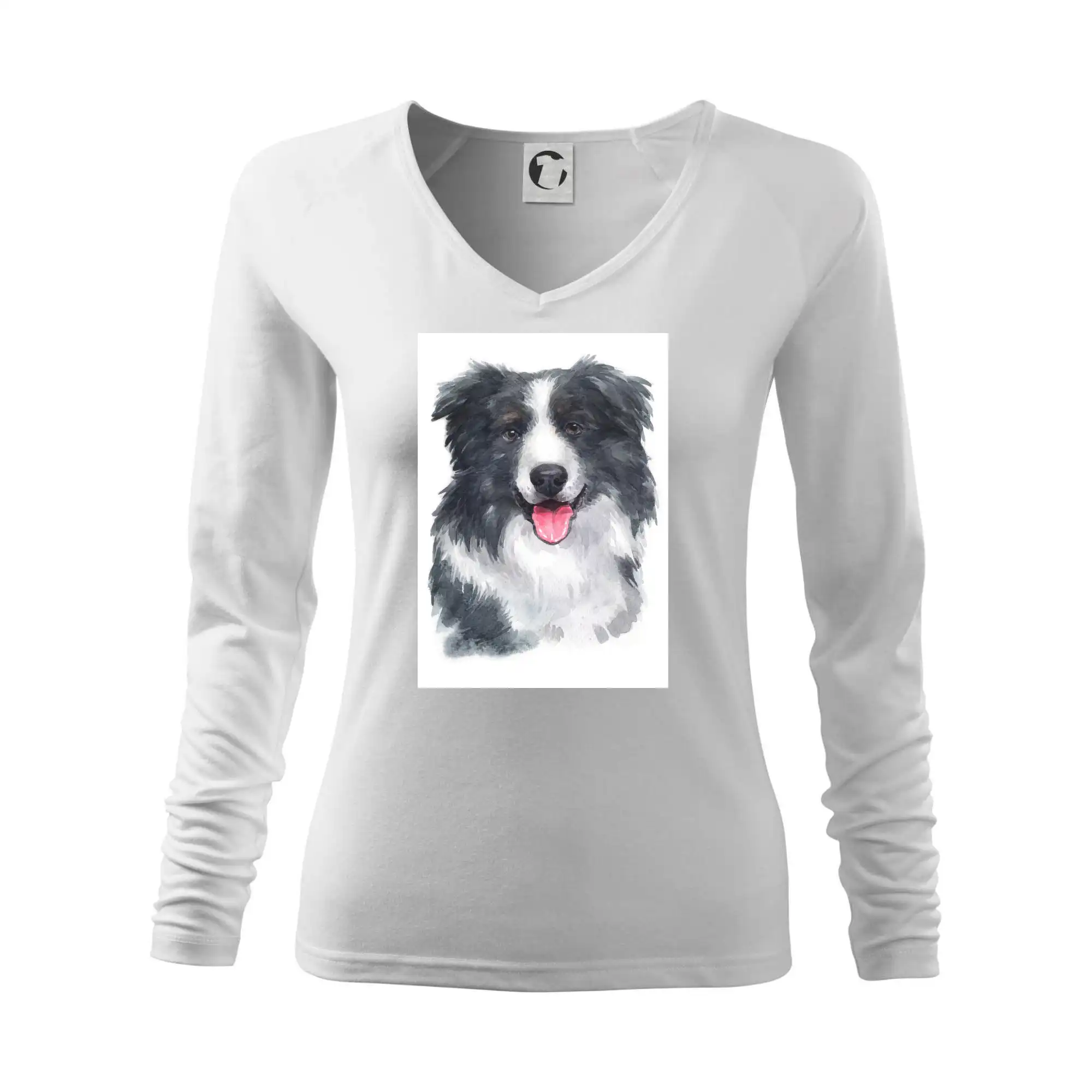 Border kolie vodová barva