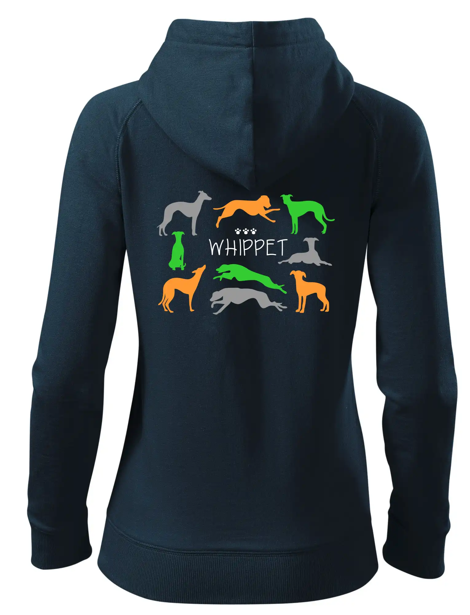 Whippet barevný