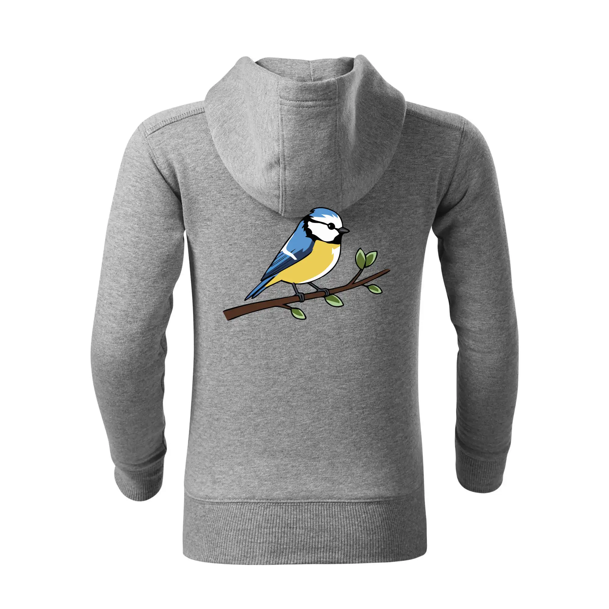 Sýkorka modřinka na větvi