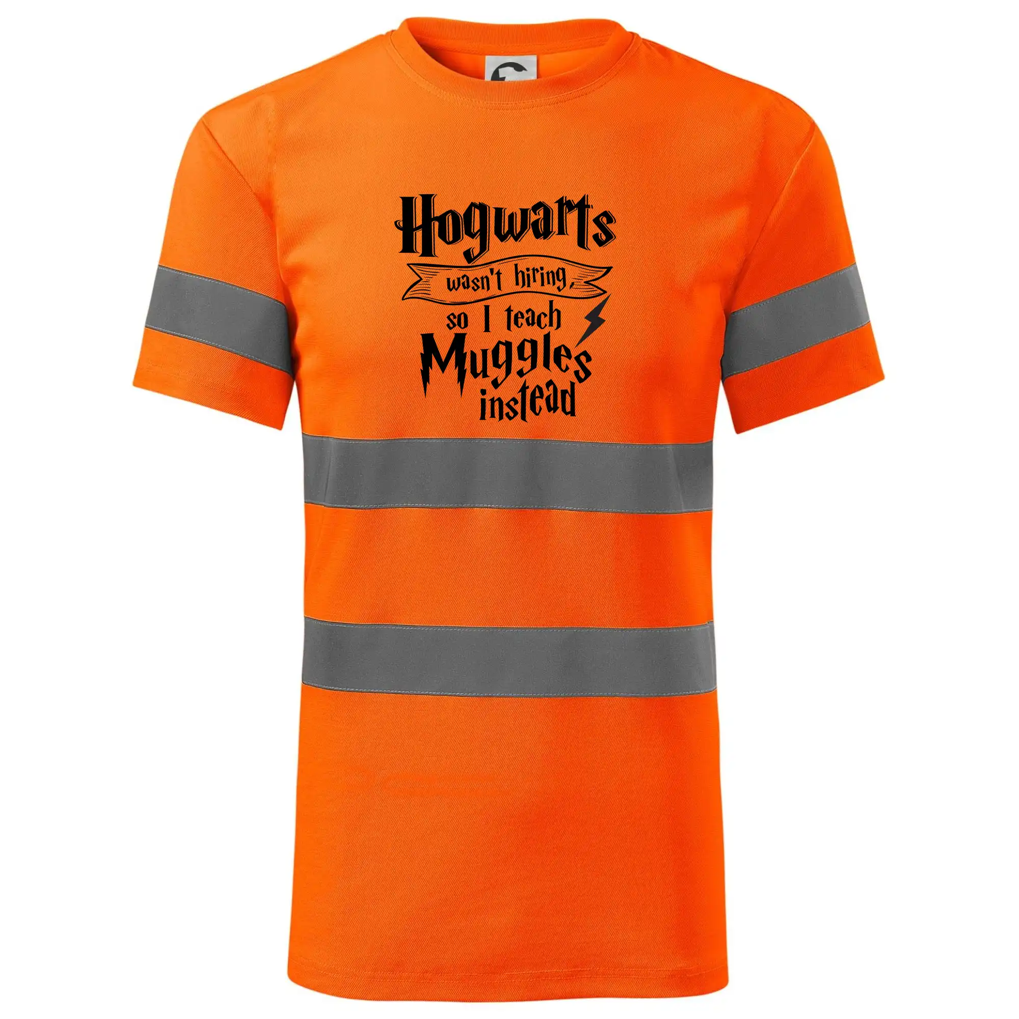 Harry - Hogwarts wasn’t hiring, so I teach Muggles instead