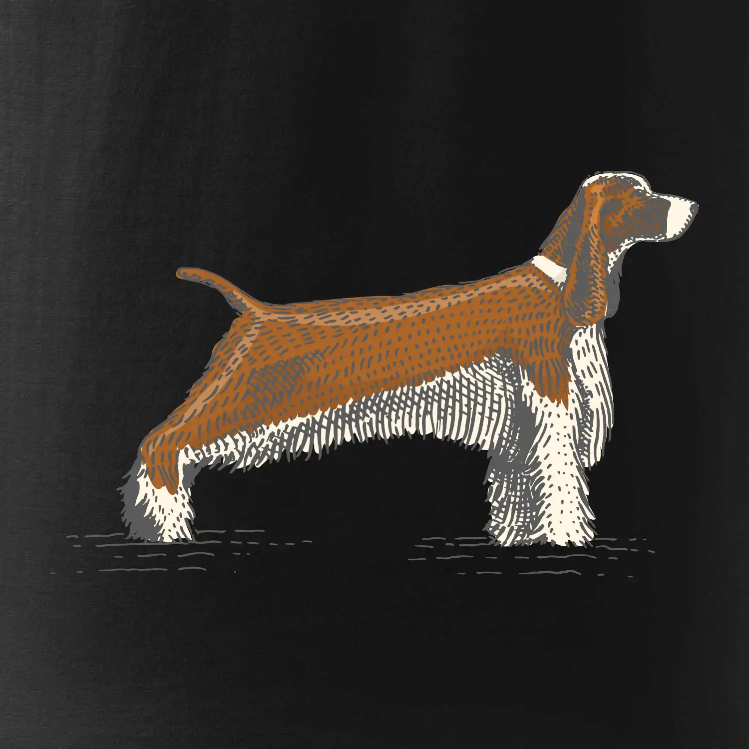 Vintage Springer spaniel