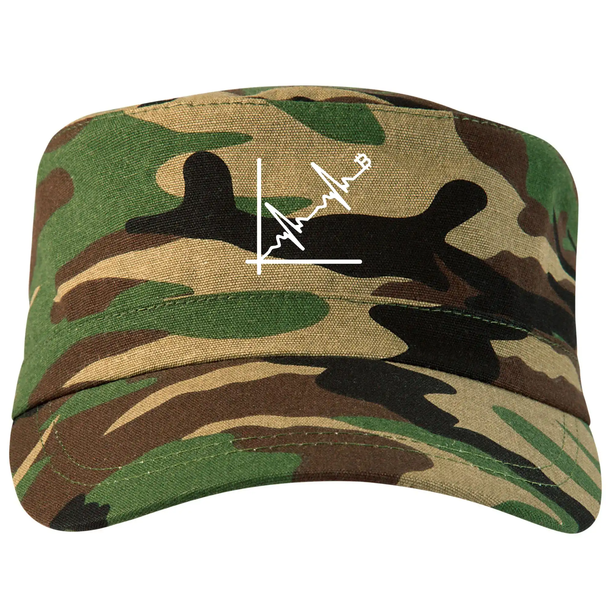 EKG graf bitcoin - Šiltovka CAMO