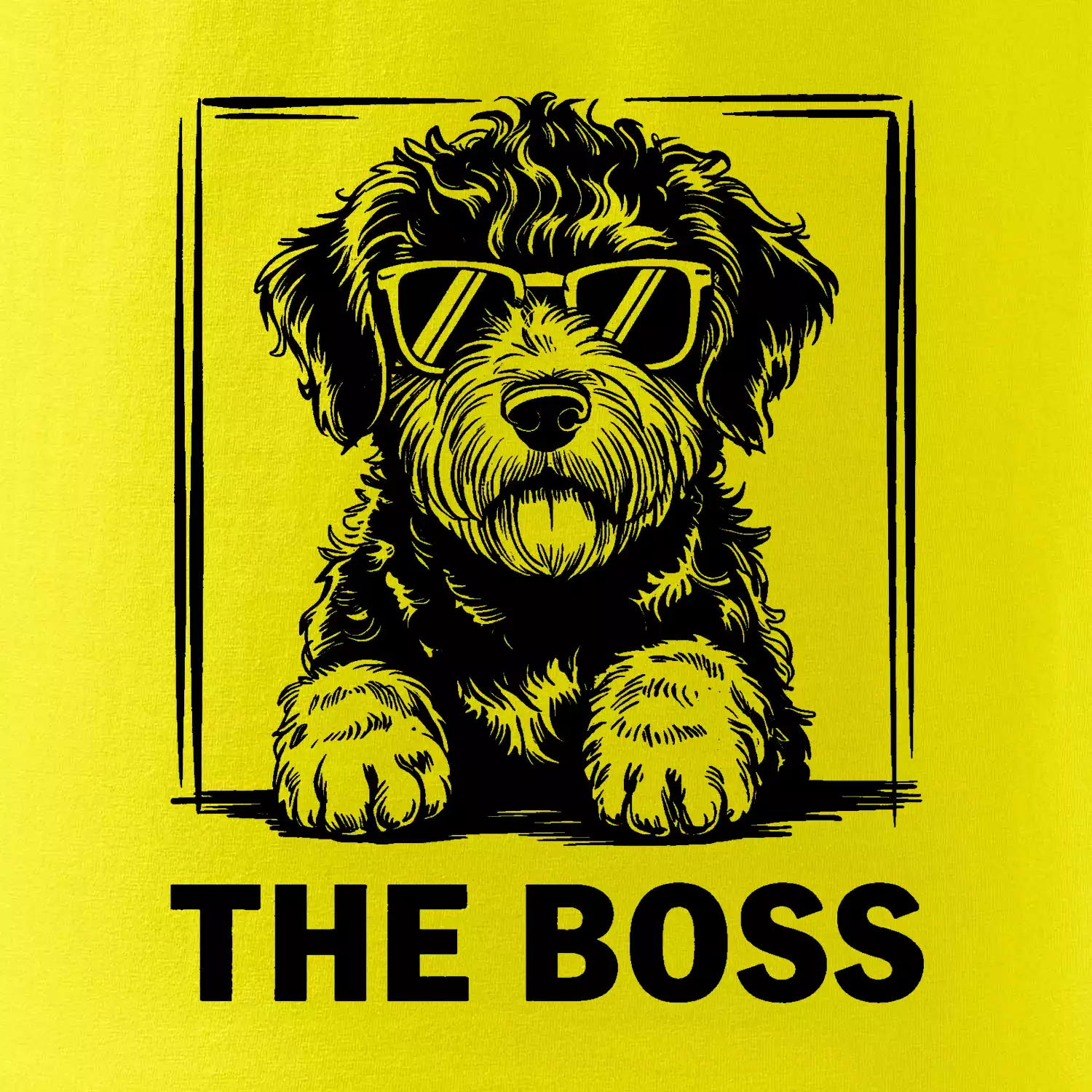 Lagotto romagnolo the boss