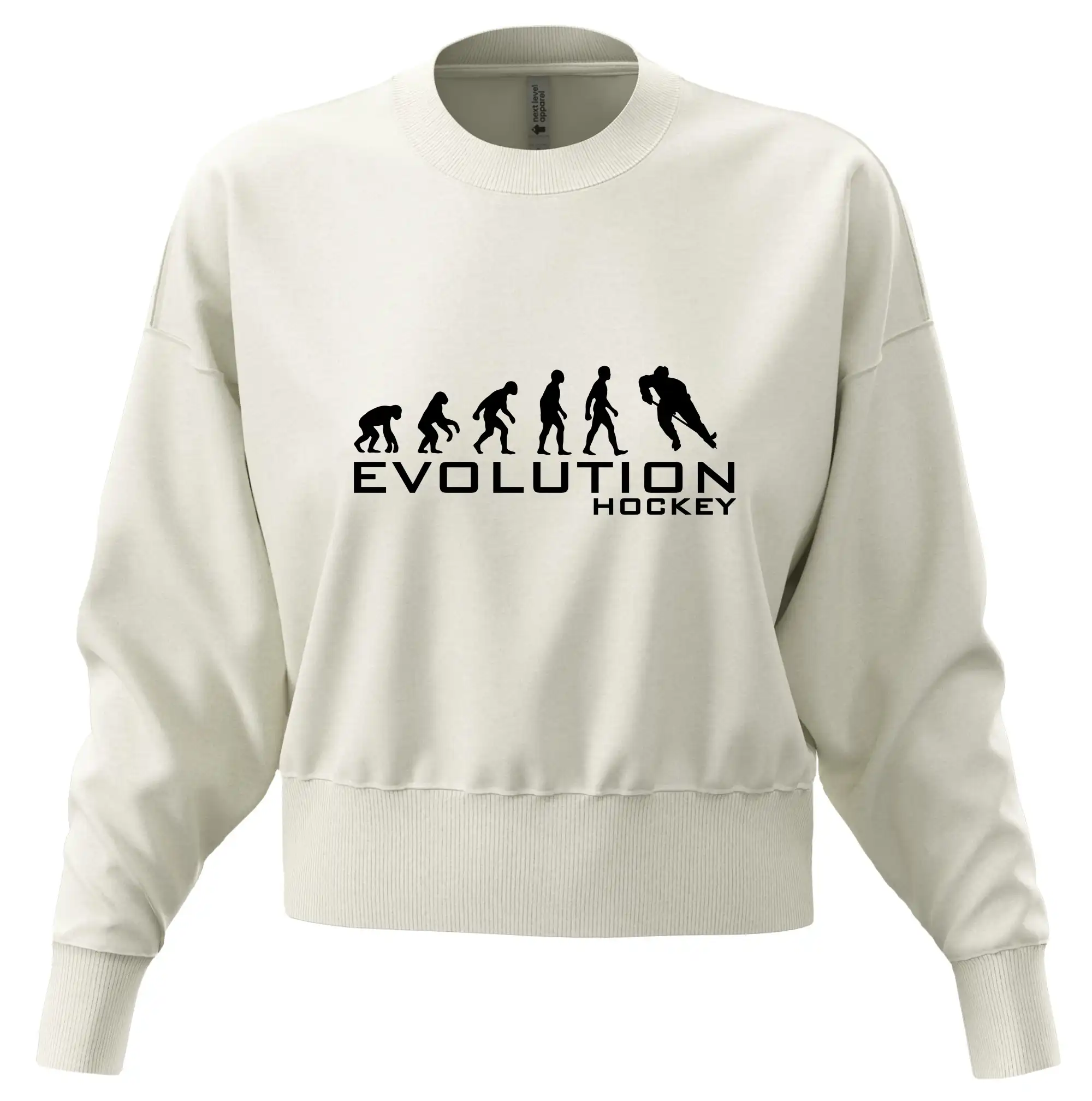 Evoluce Hockey - hráč