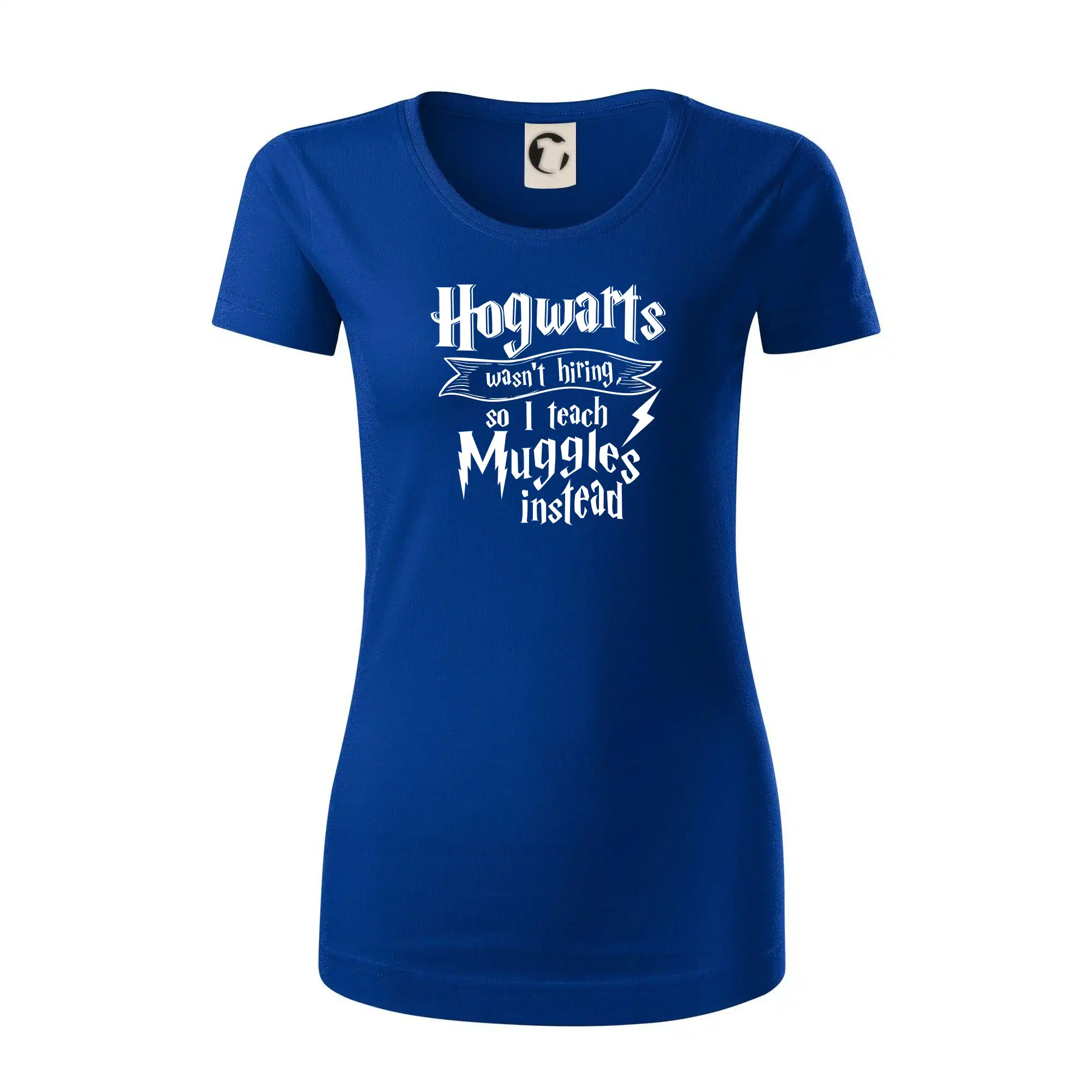 Harry - Hogwarts wasn’t hiring, so I teach Muggles instead