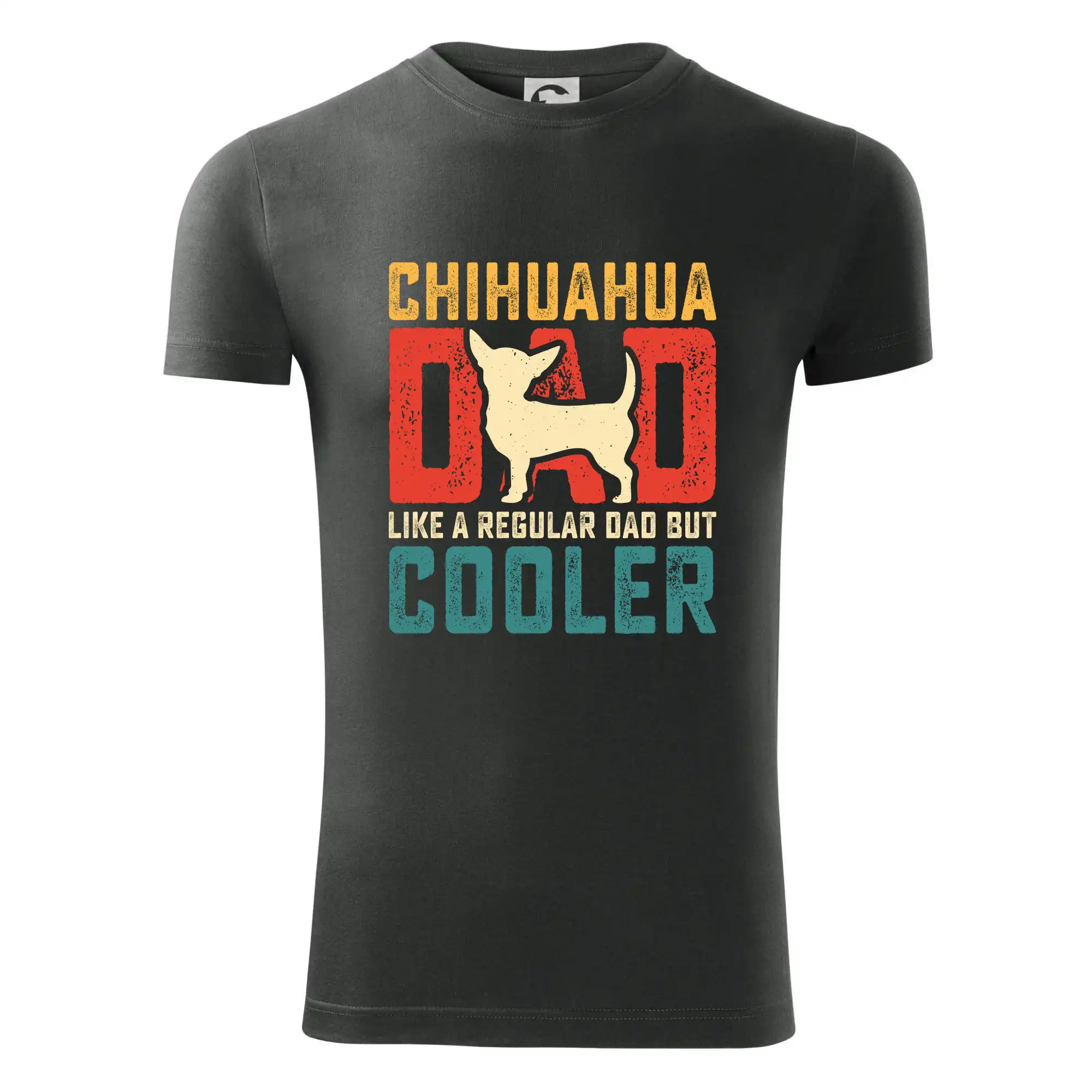 Chihuahua dad like a regular dad
