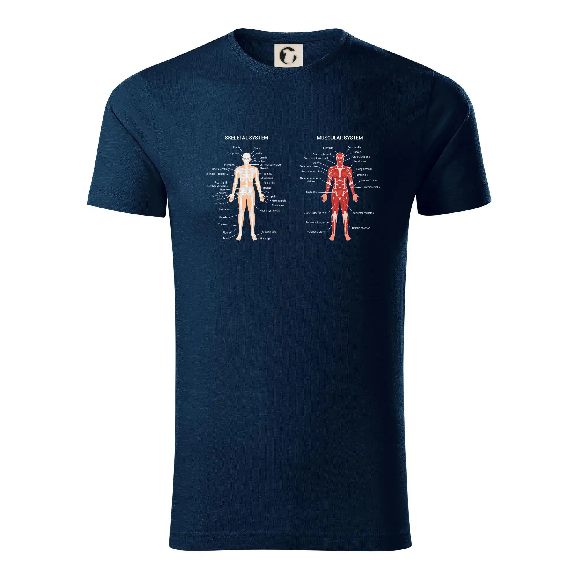 Skelet and Moscular system - Tričko z organickej bavlny
