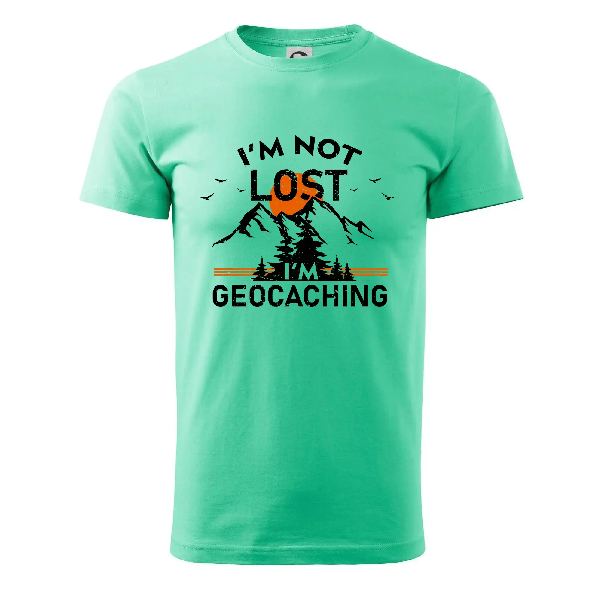 Im not lost - geocaching