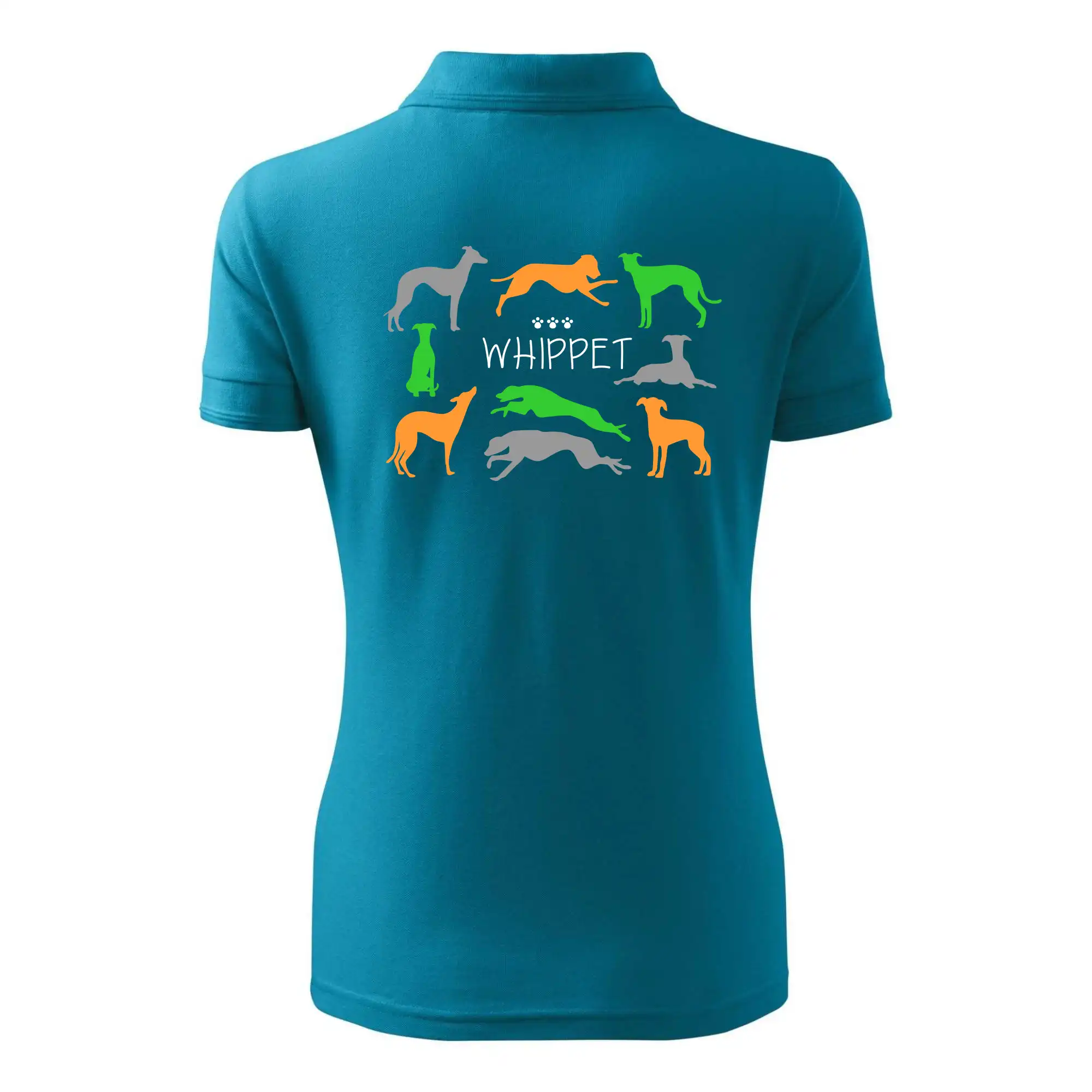 Whippet barevný