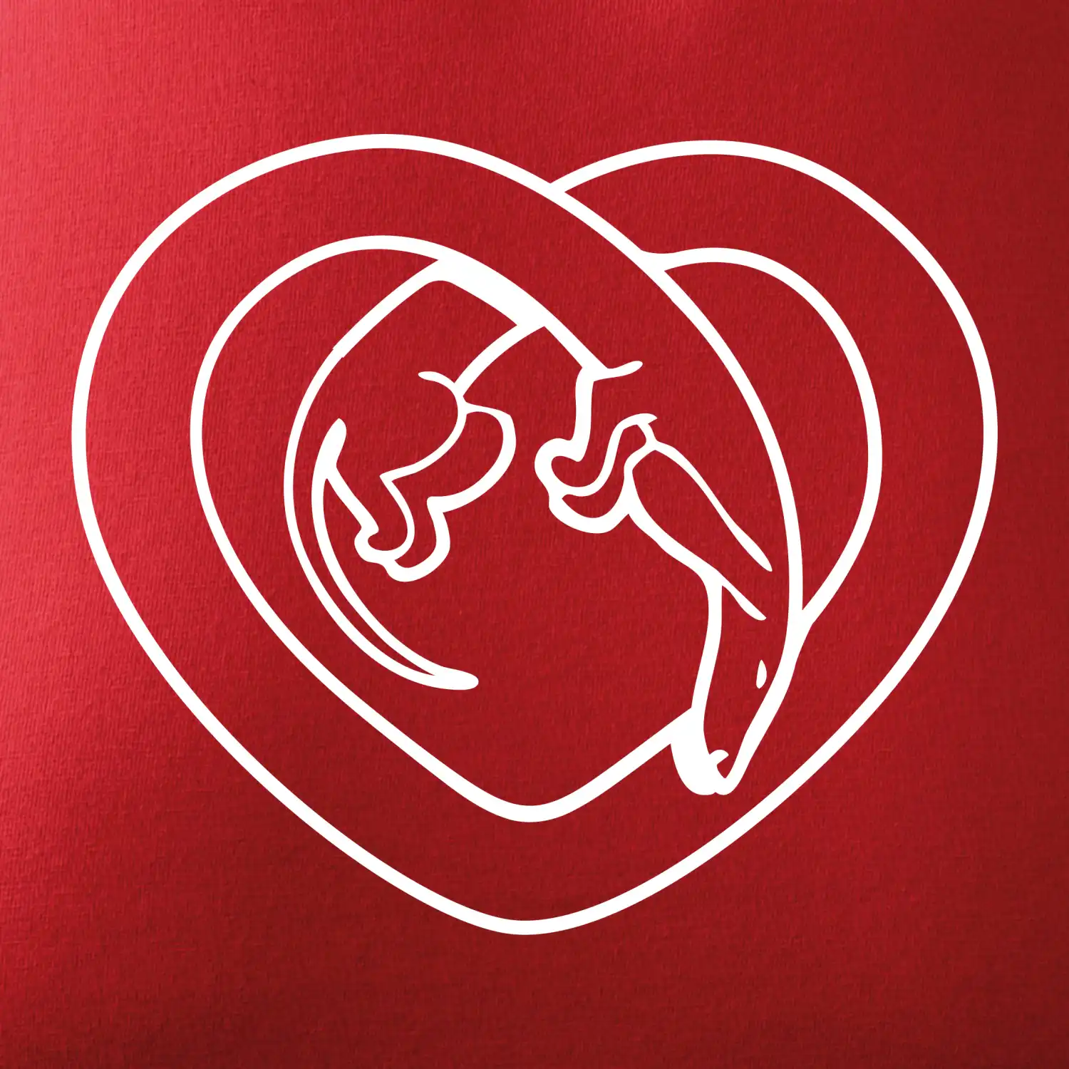 Jezevčík srdce - obrys