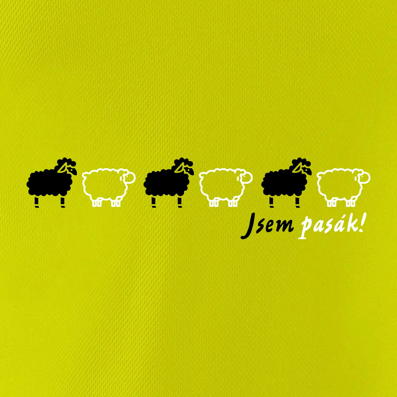 Jsem pasák - ovce v řadě