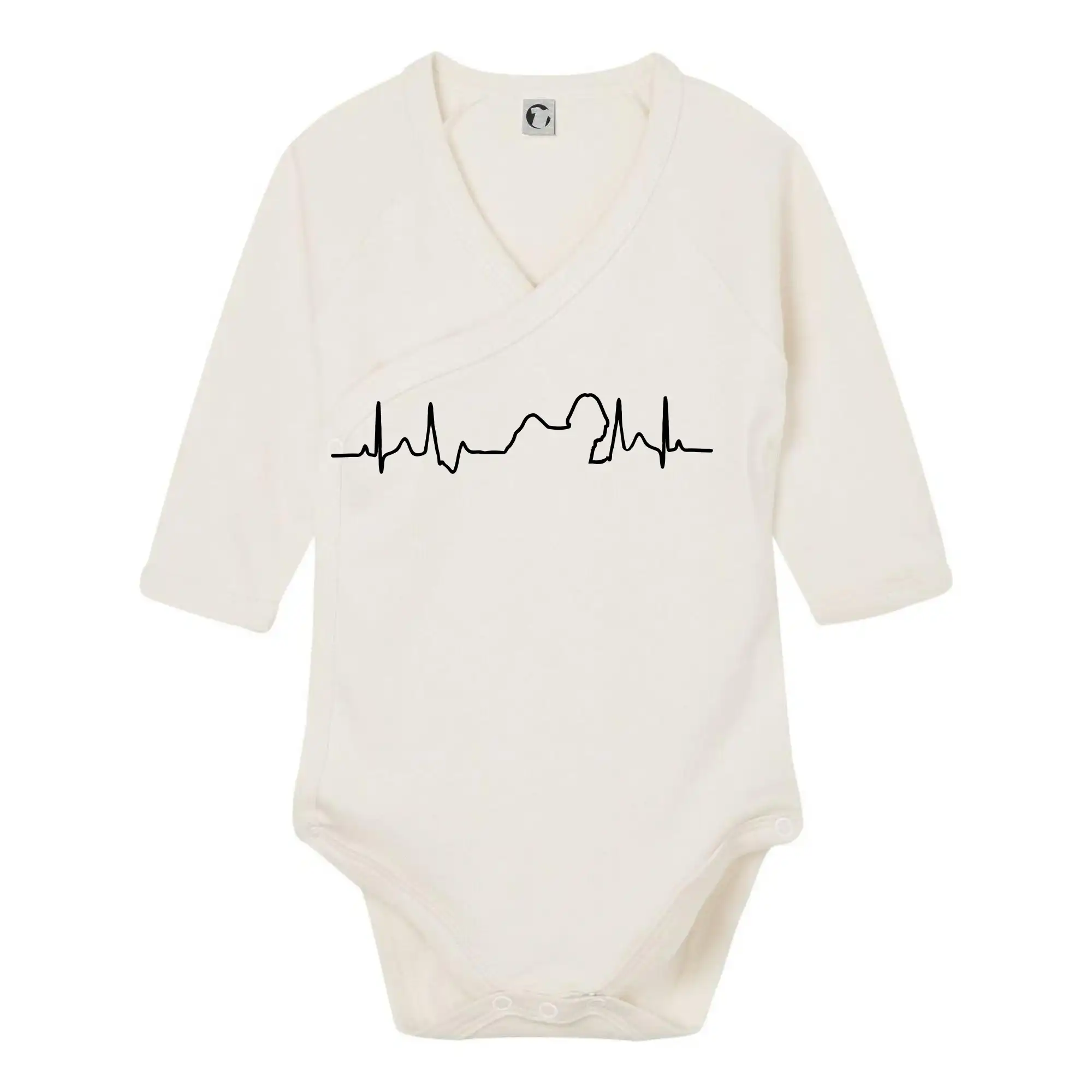 Shih-tzu ekg obrys
