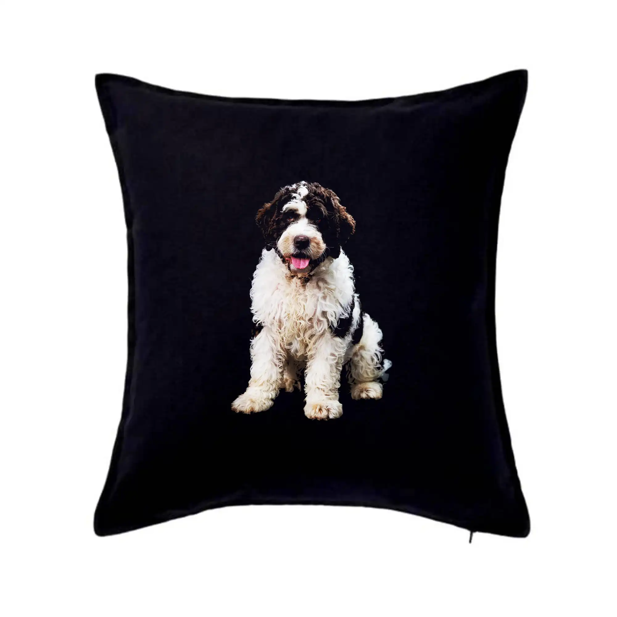Ostatné psie plemená - Lagotto romagnolo fotografia v tme - Vankúš 50x50