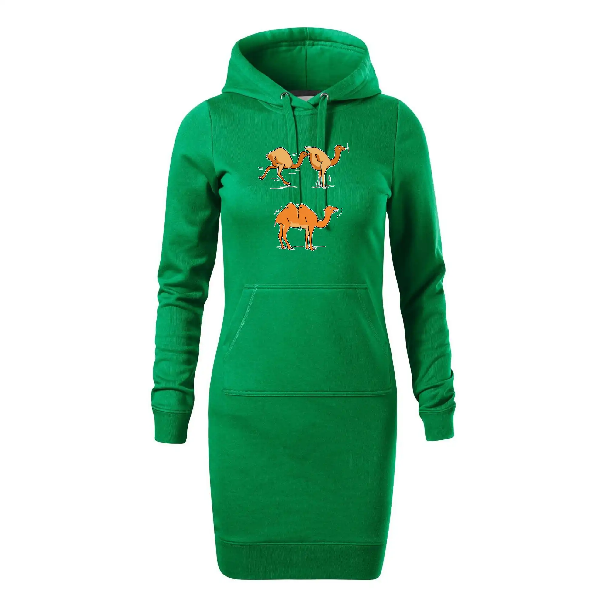 Pravda o velbloudech