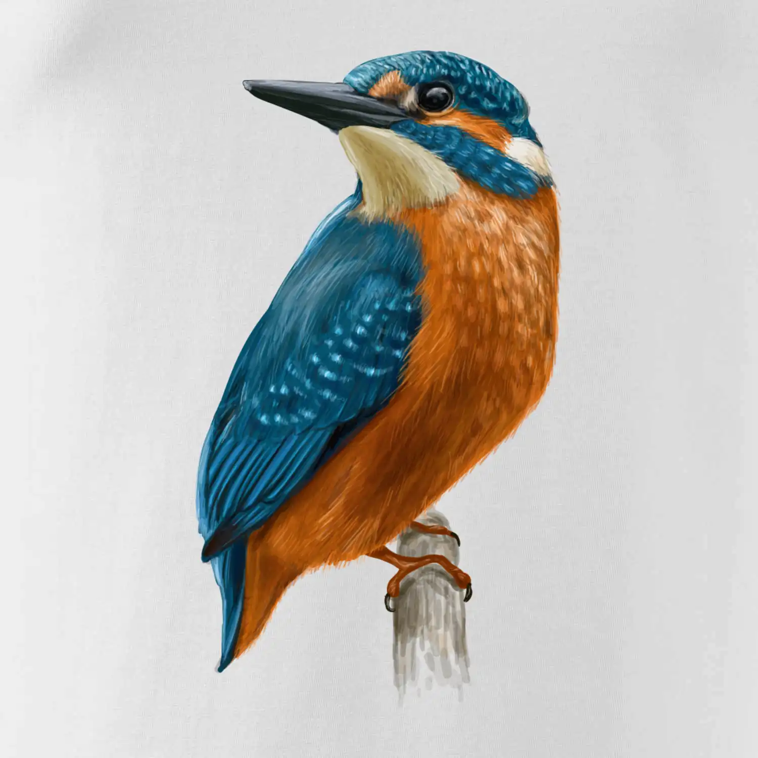 Lednáček kreslený