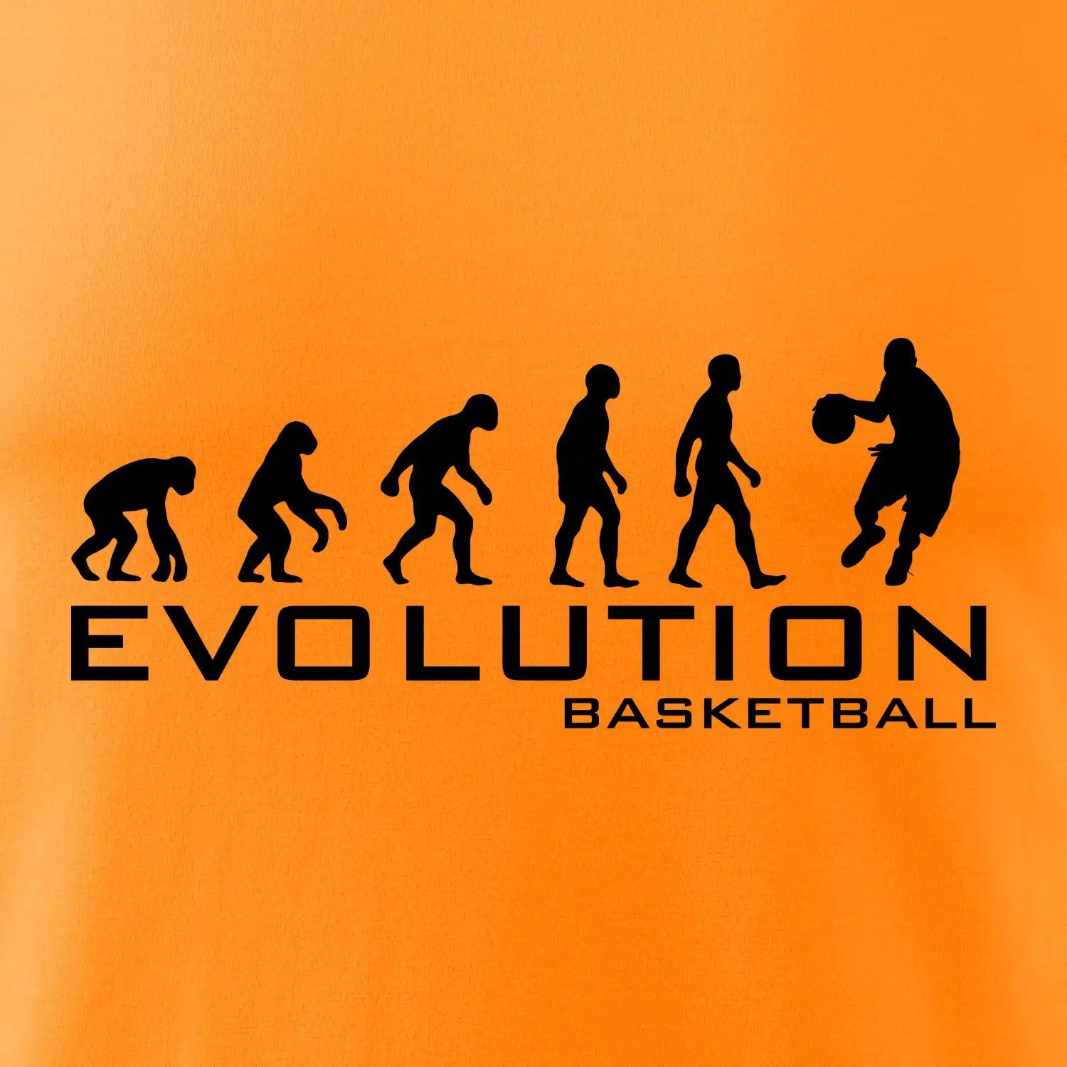 Evoluce Basketball
