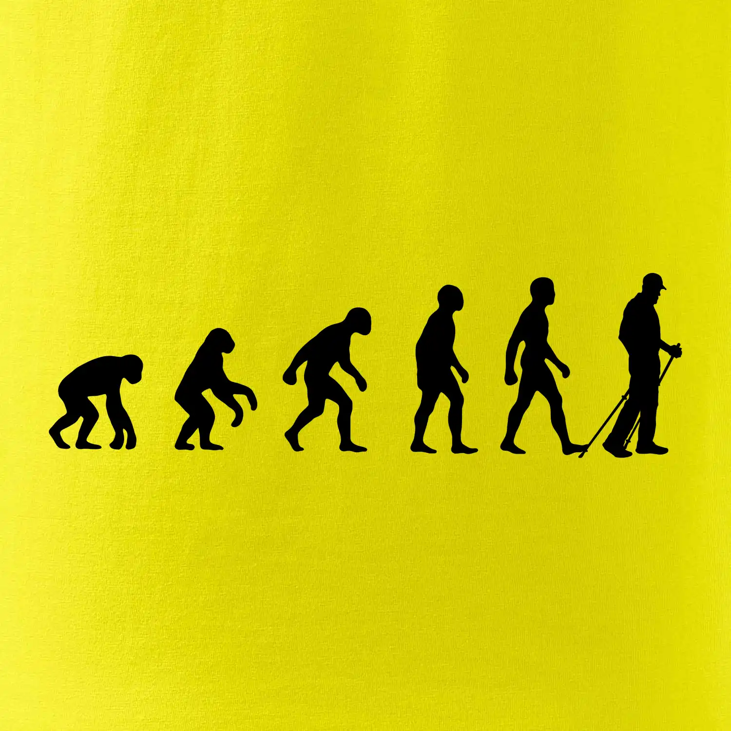 Evoluce Nordic walking