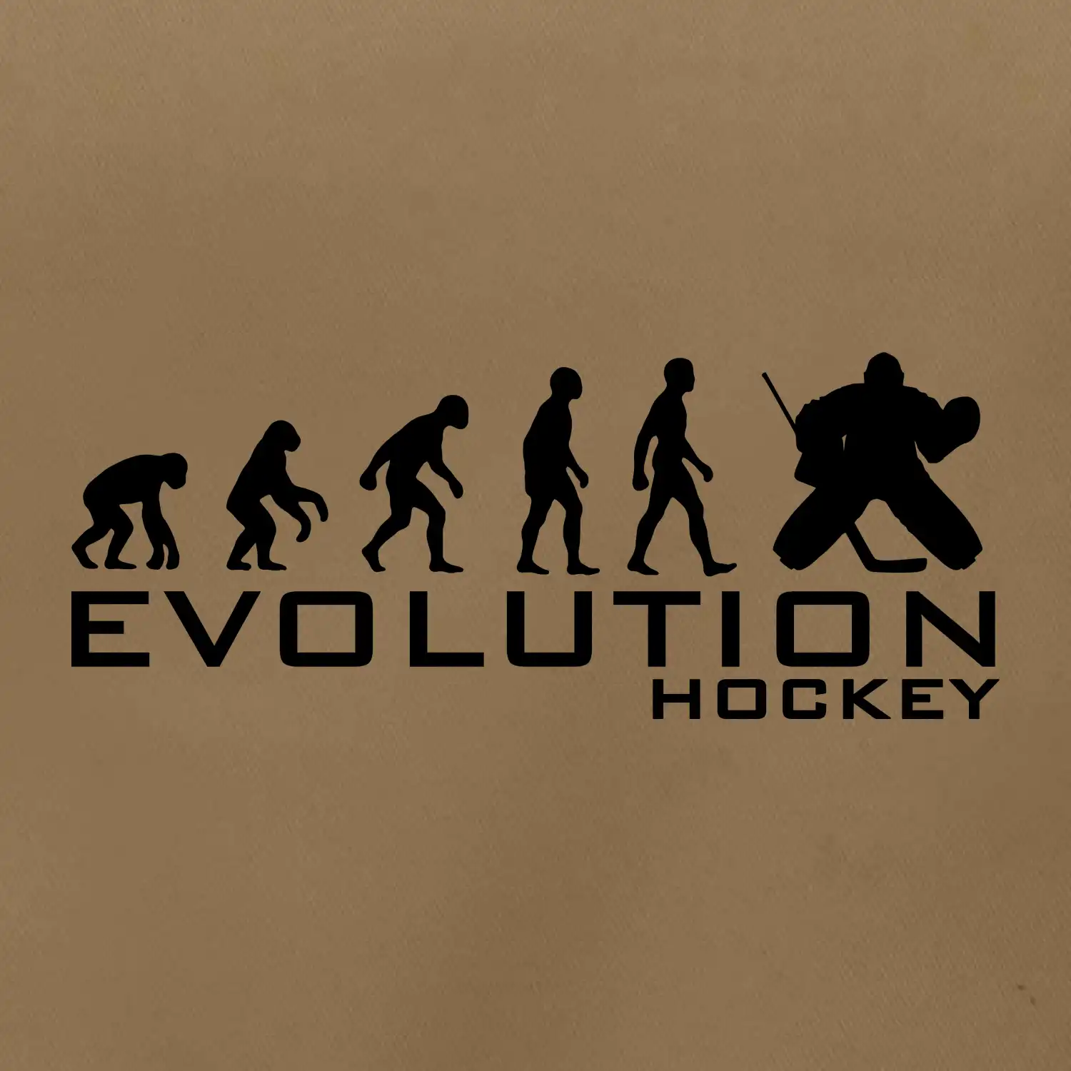 Evoluce Hockey brankář