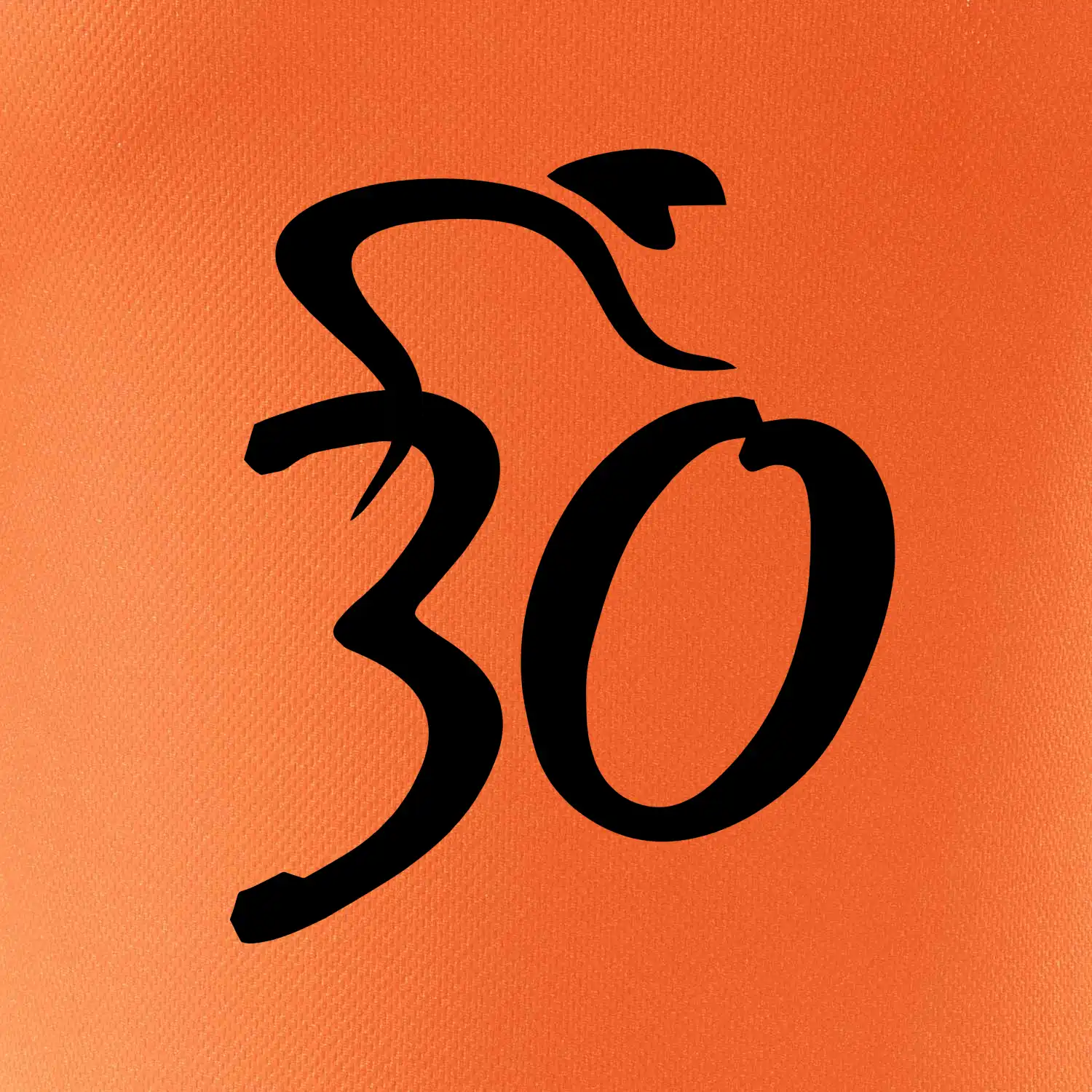 Cyklista slaví třicítku (30)