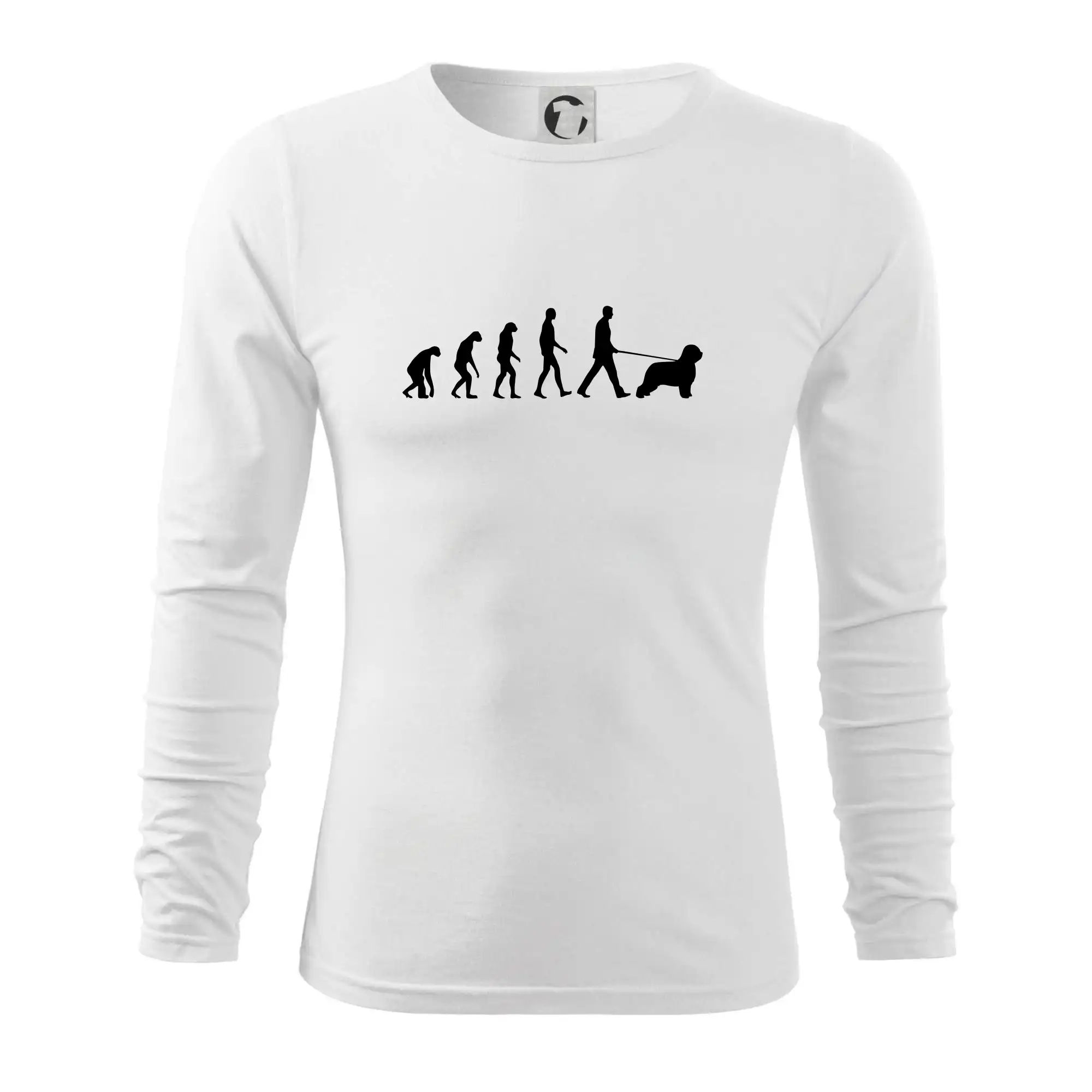 Evoluce pes Briard
