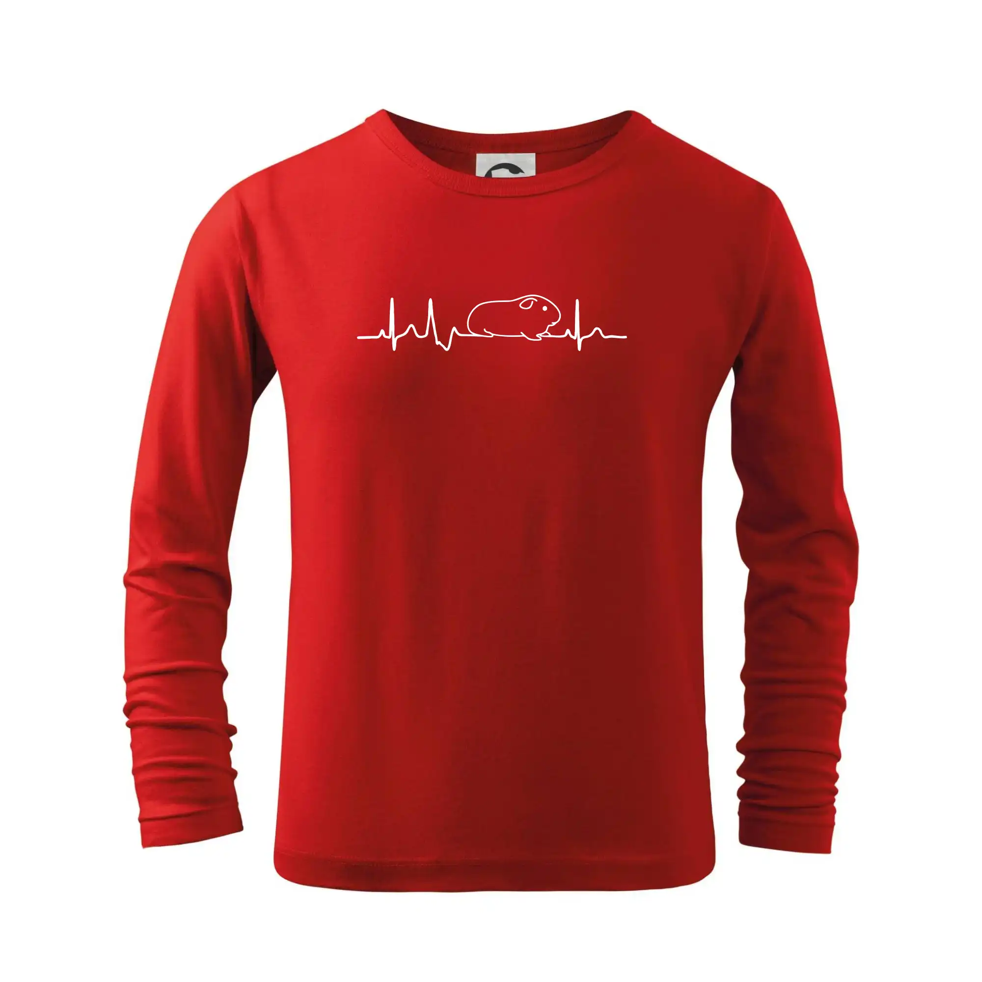 EKG morče