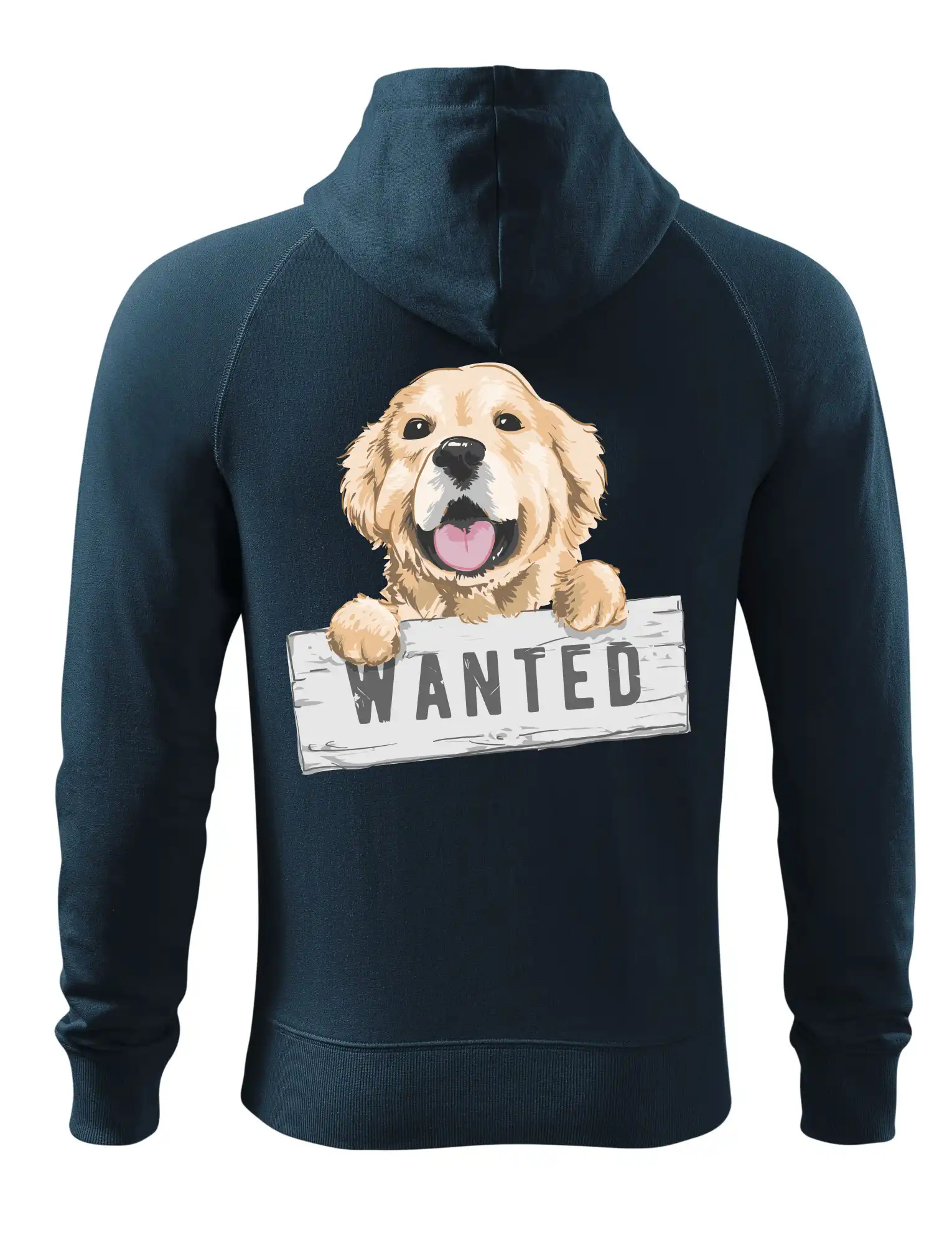 Zlatý retriever - štěně wanted