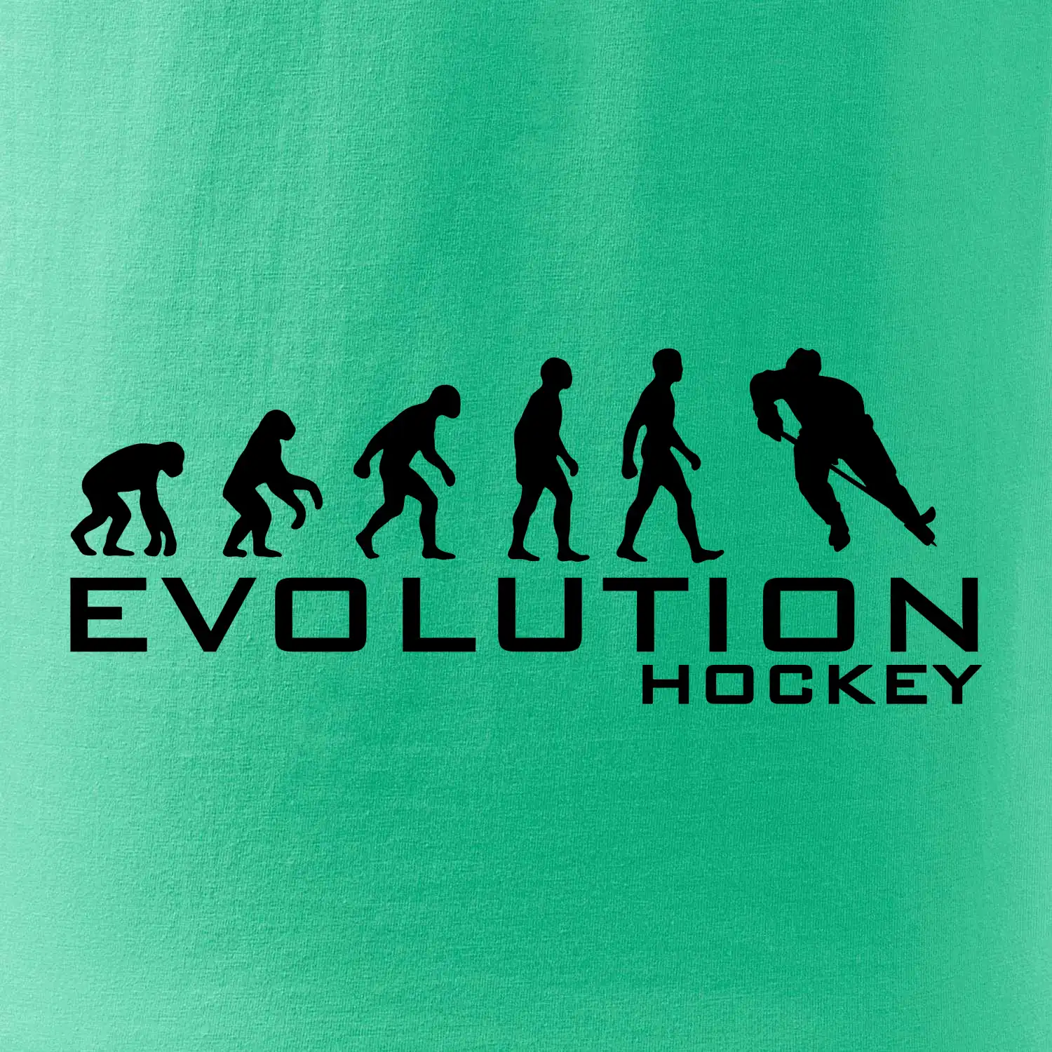 Evoluce Hockey - hráč