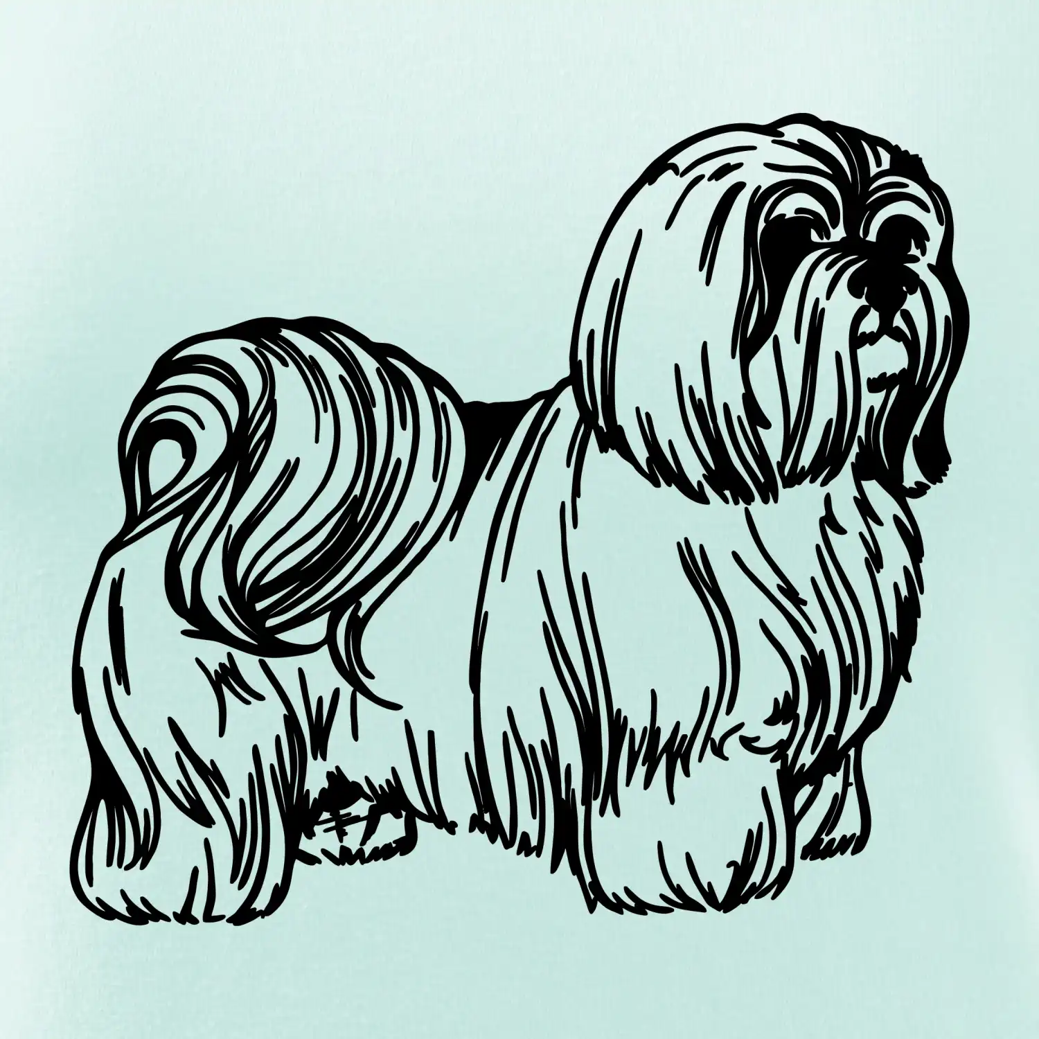 Shih-tzu - chlupatý