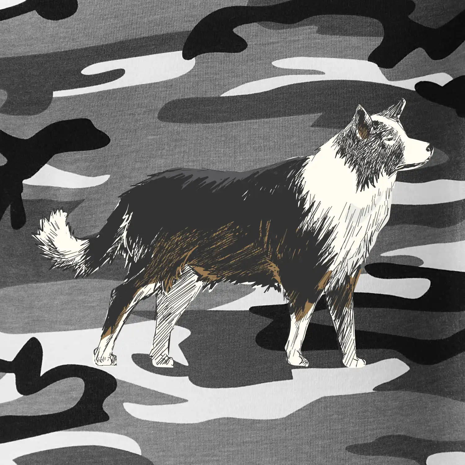 Border kolie kreslená