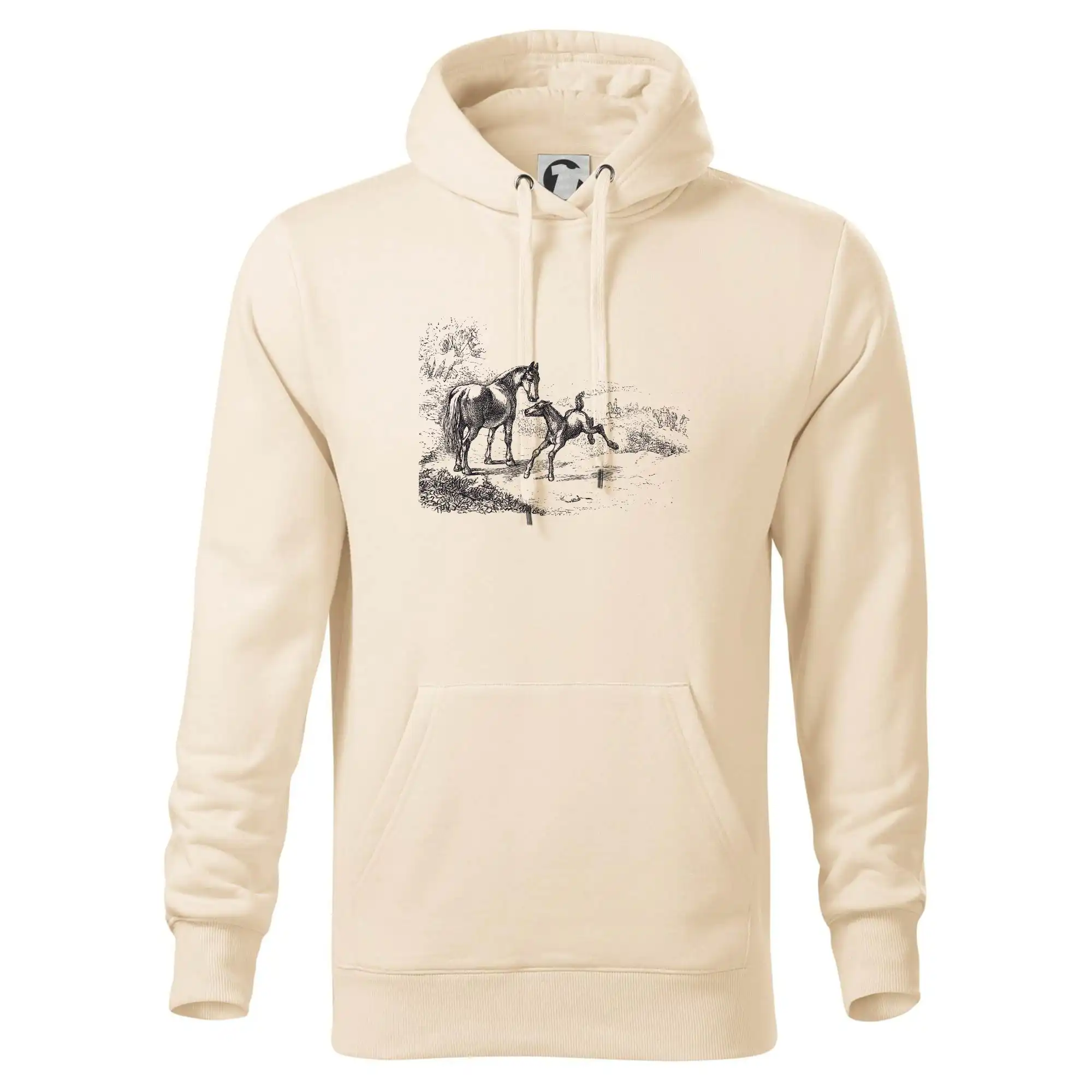 Kůň a hříbě malované