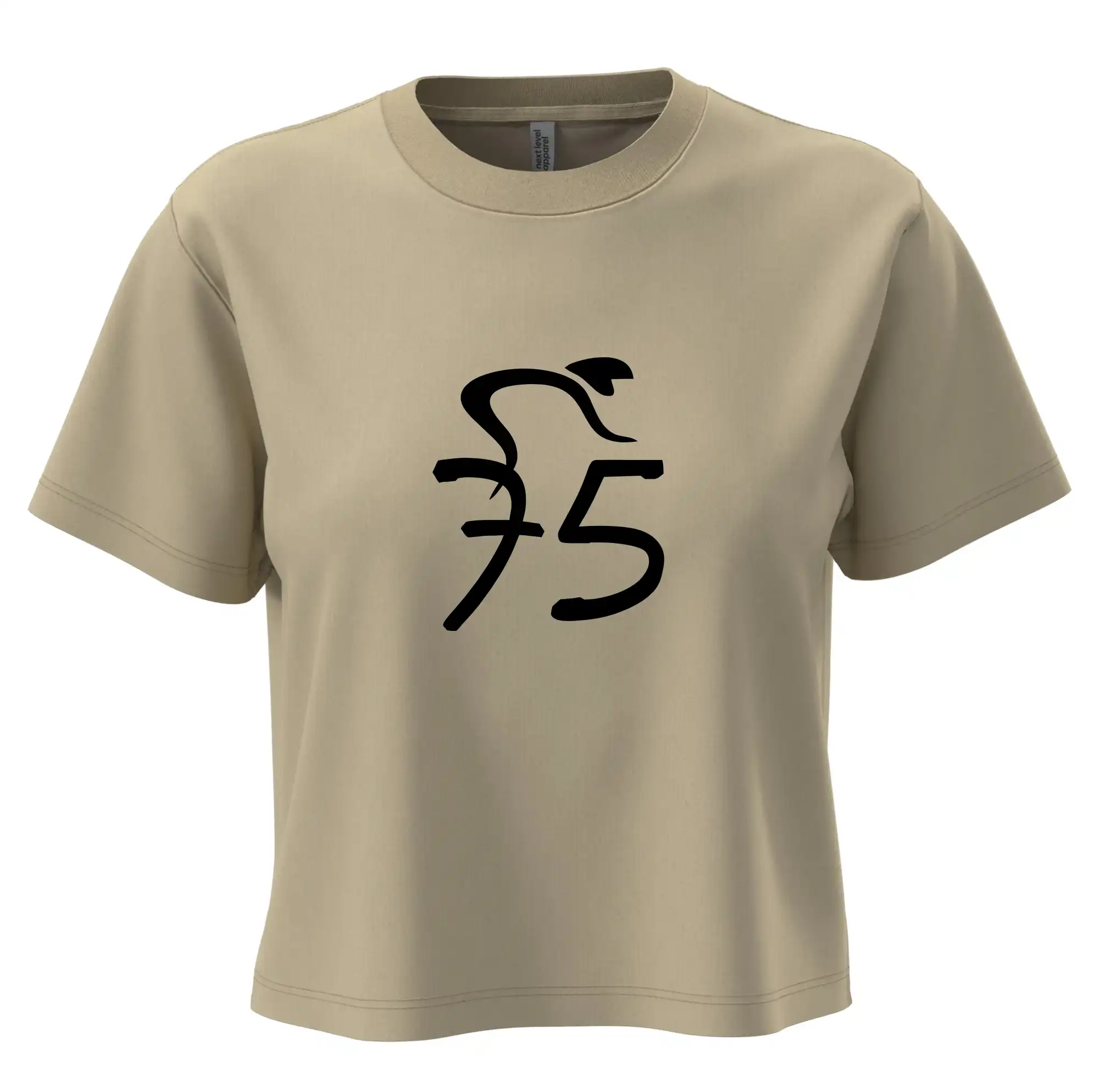 Cyklista slaví pětasedmdesátku (75)