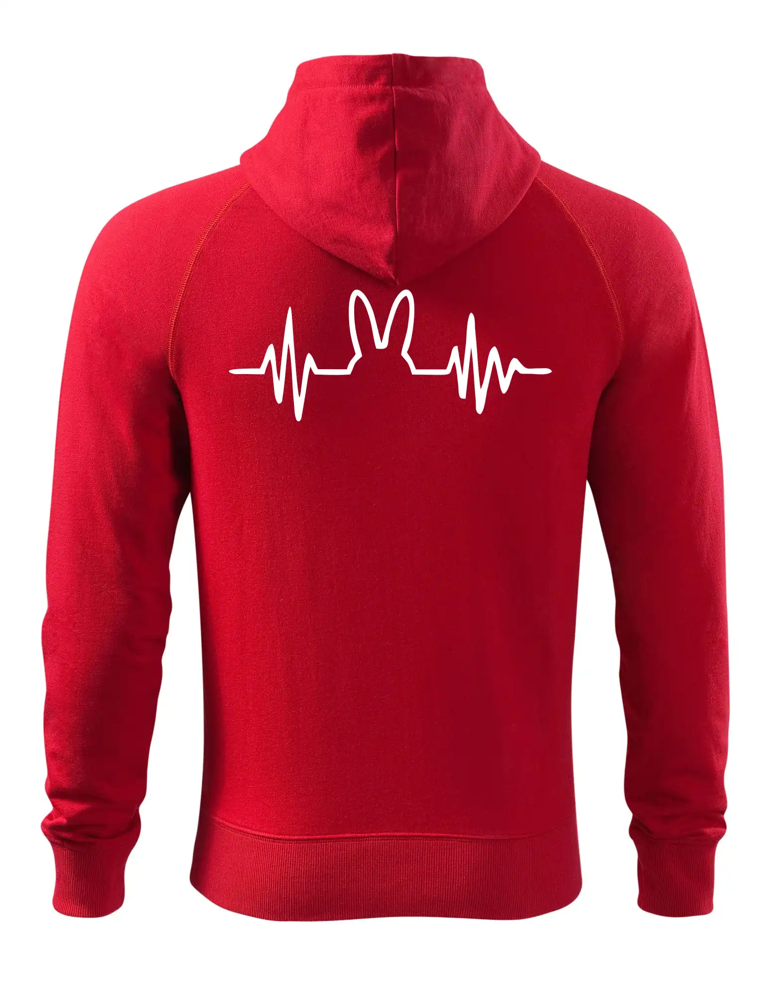 EKG zajíc