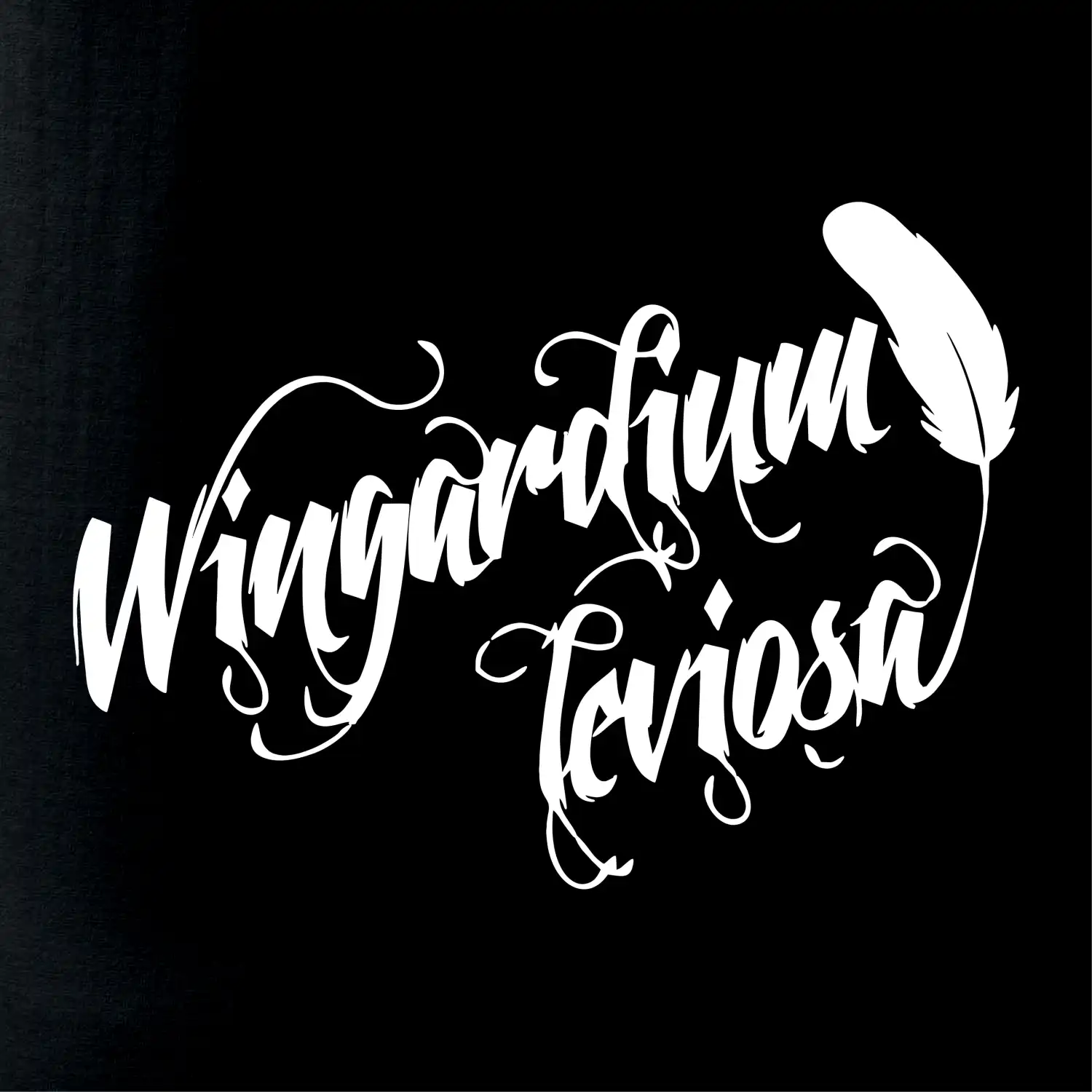 Harry - Wingardium Leviosa