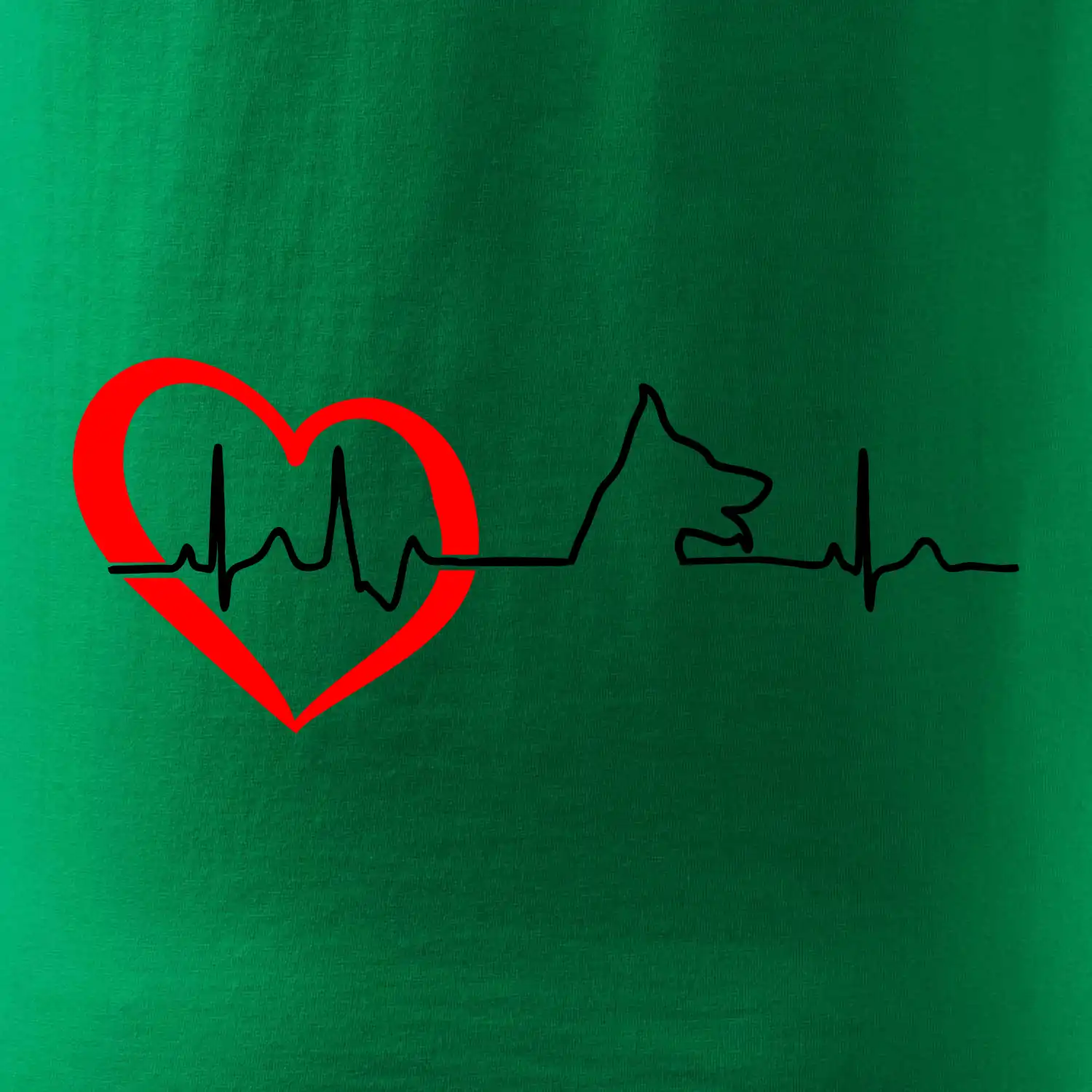 Německý ovčák ekg