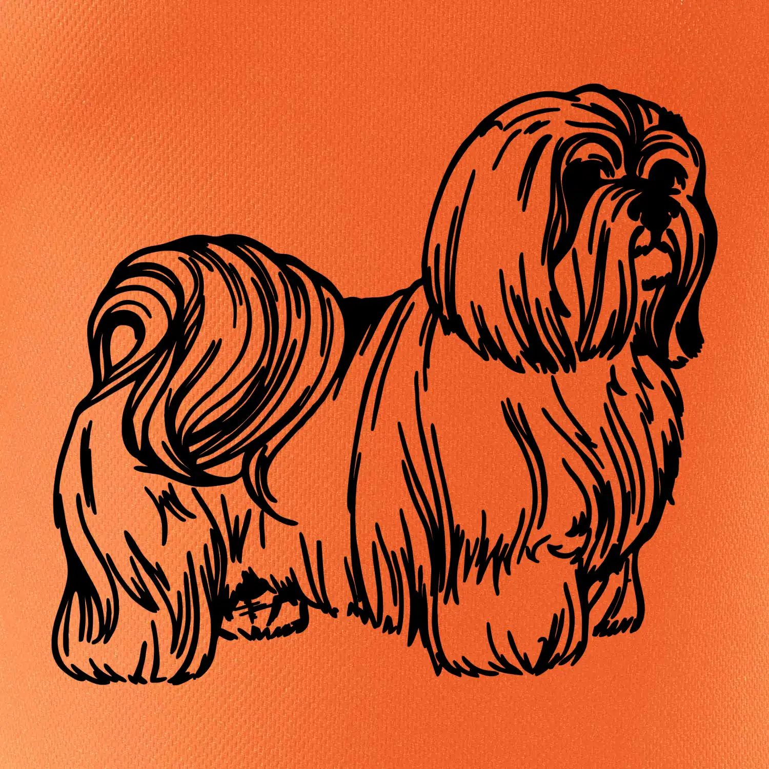 Shih-tzu - chlupatý