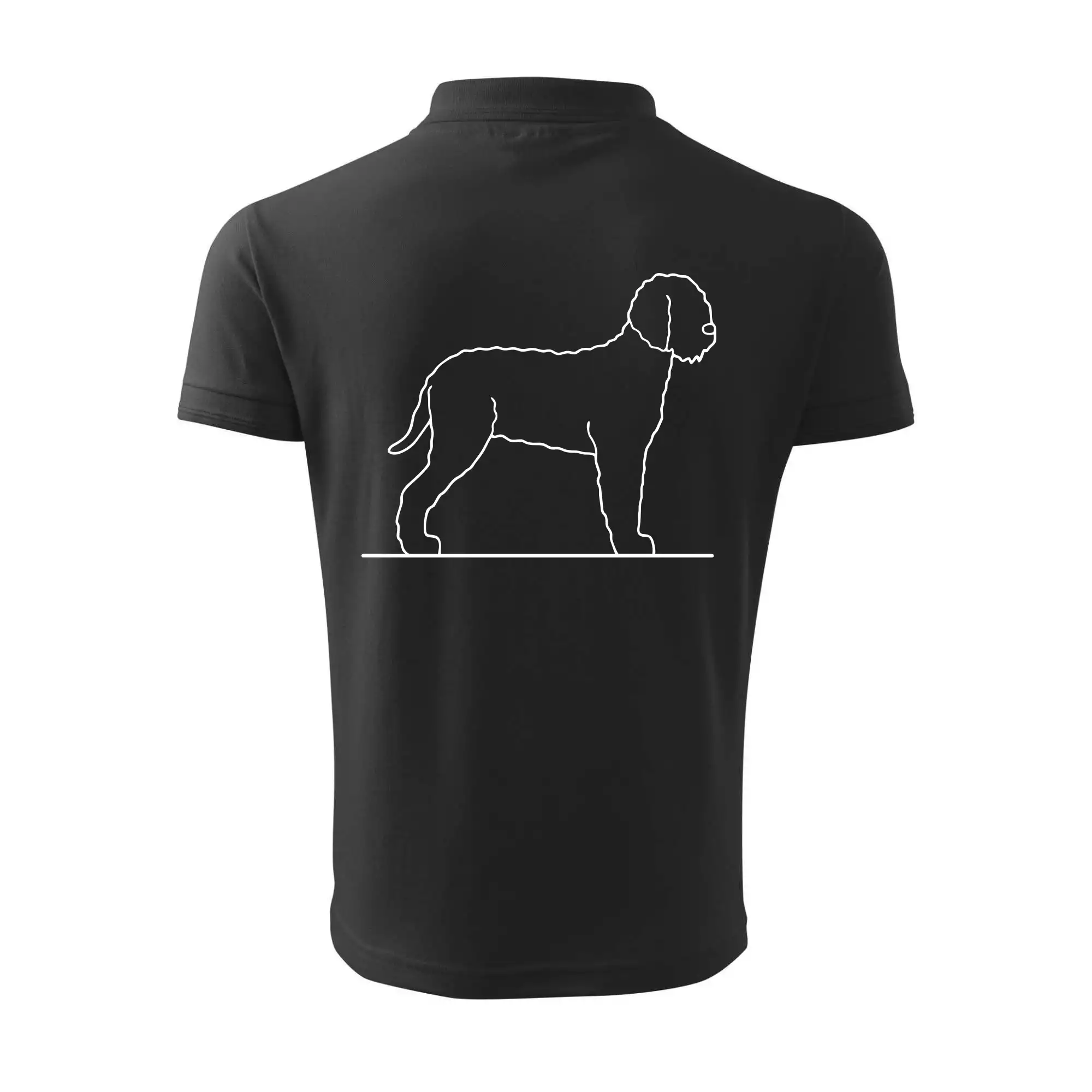 Lagotto romagnolo stojící