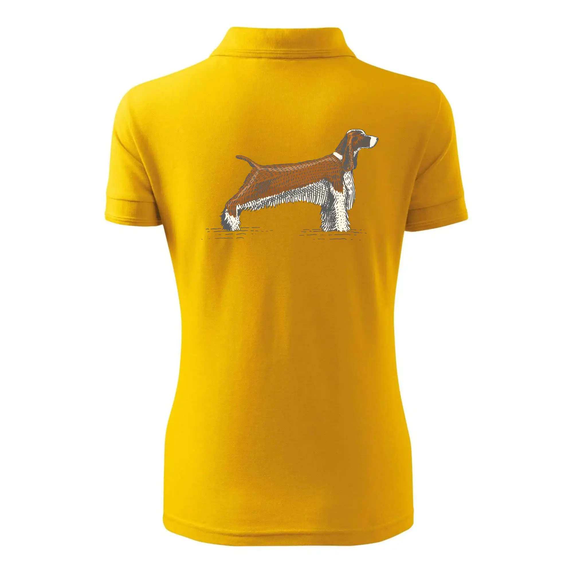 Vintage Springer spaniel