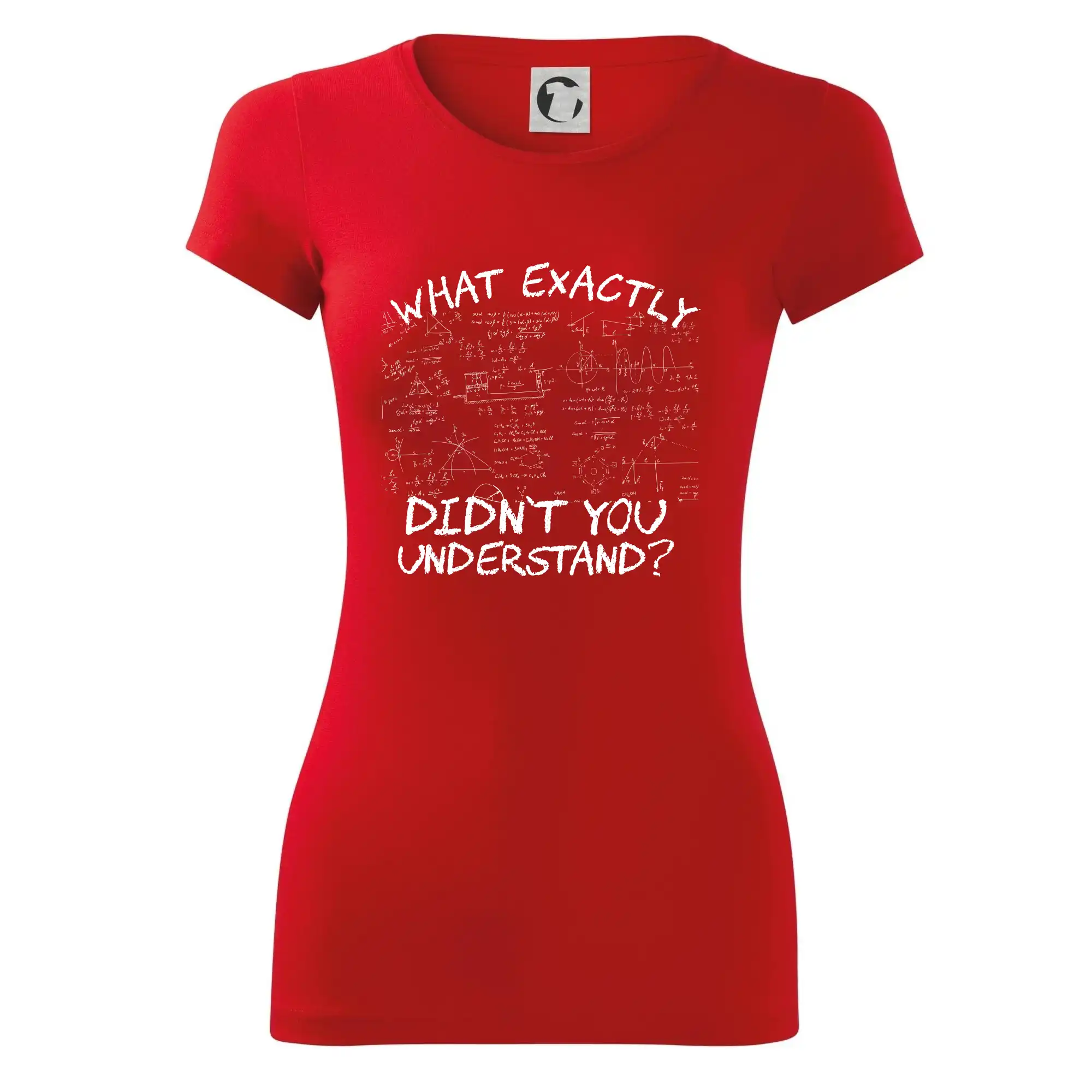 What exactly didnt you understand - physics