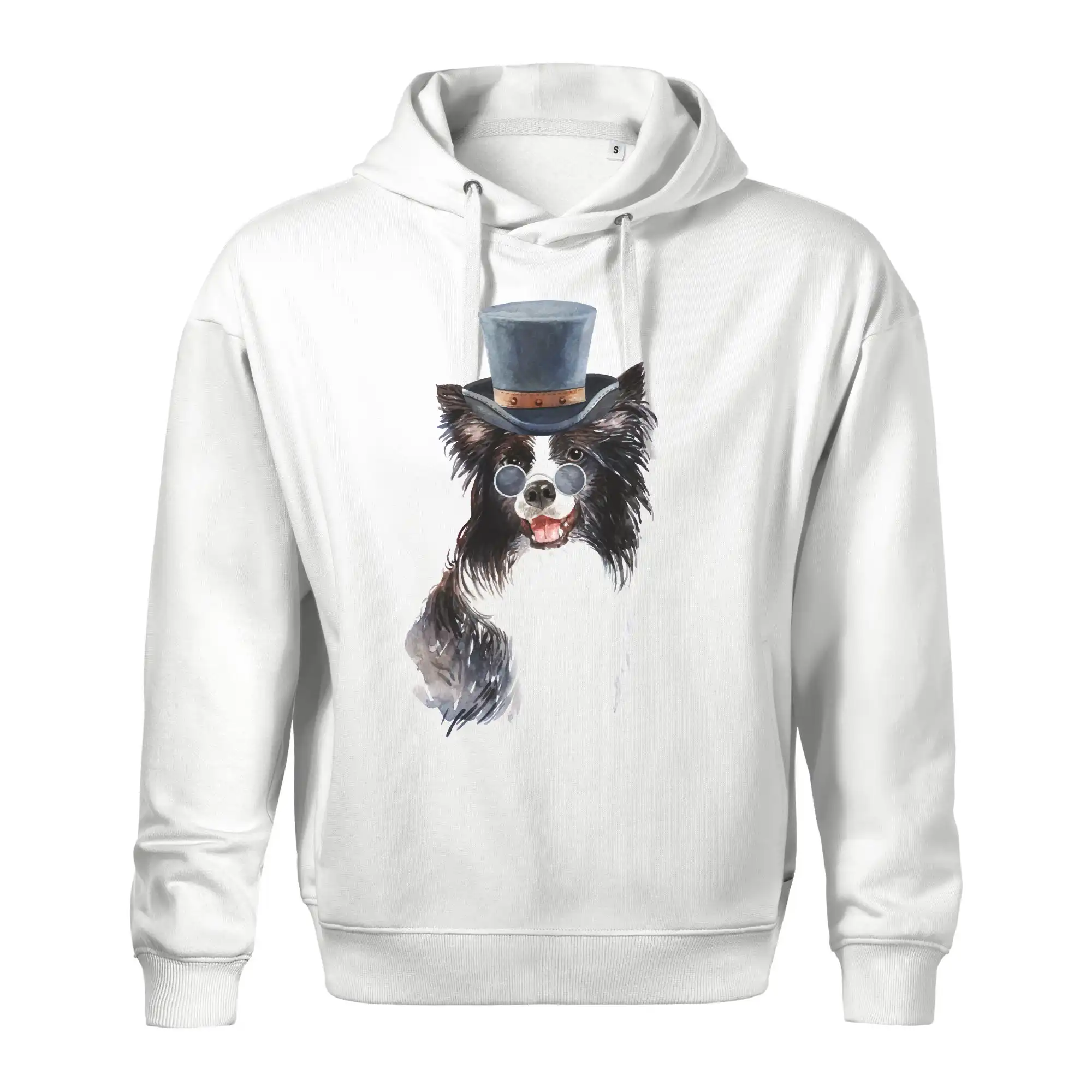 Border kolie v klobouku