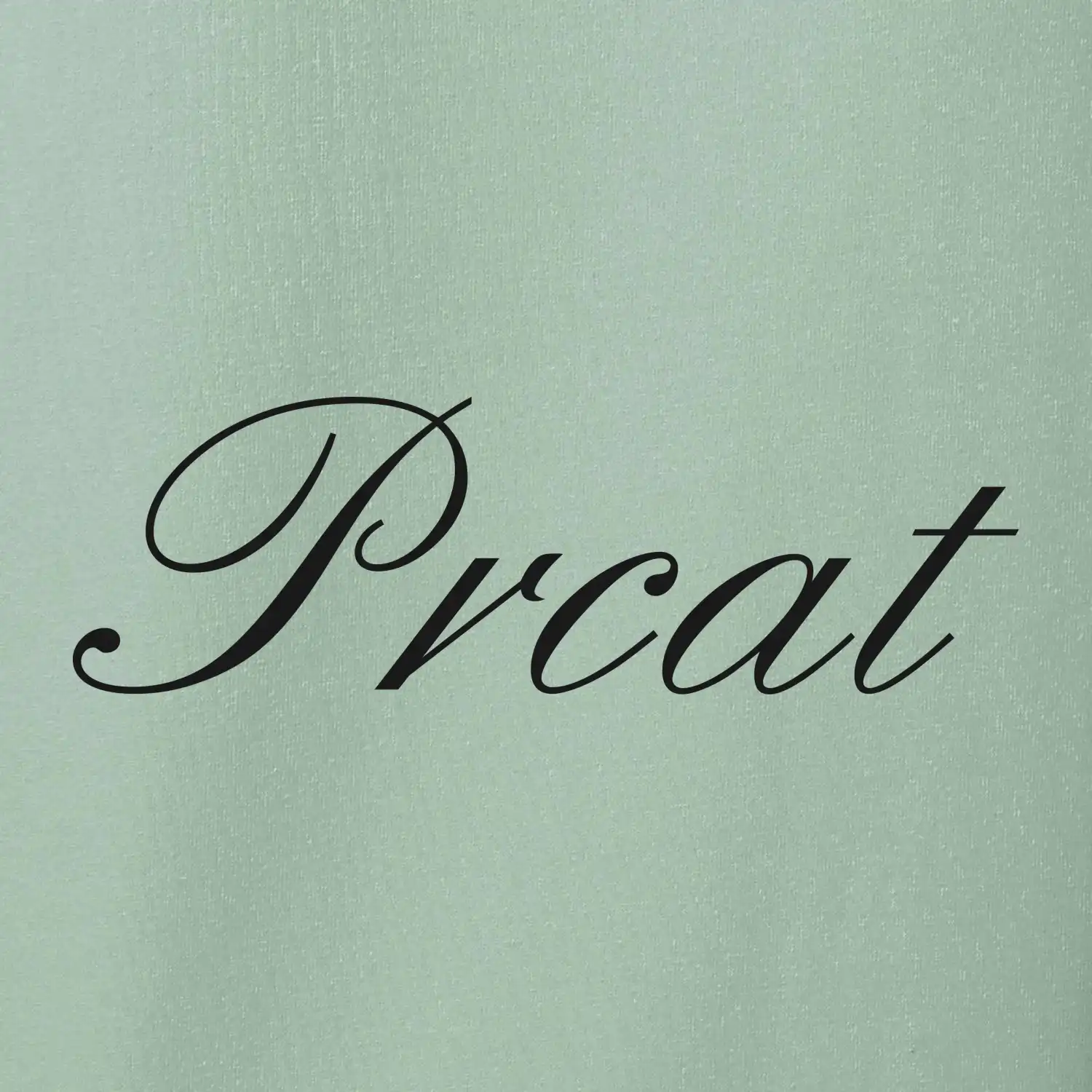 Prcat (souložit vulgárně)