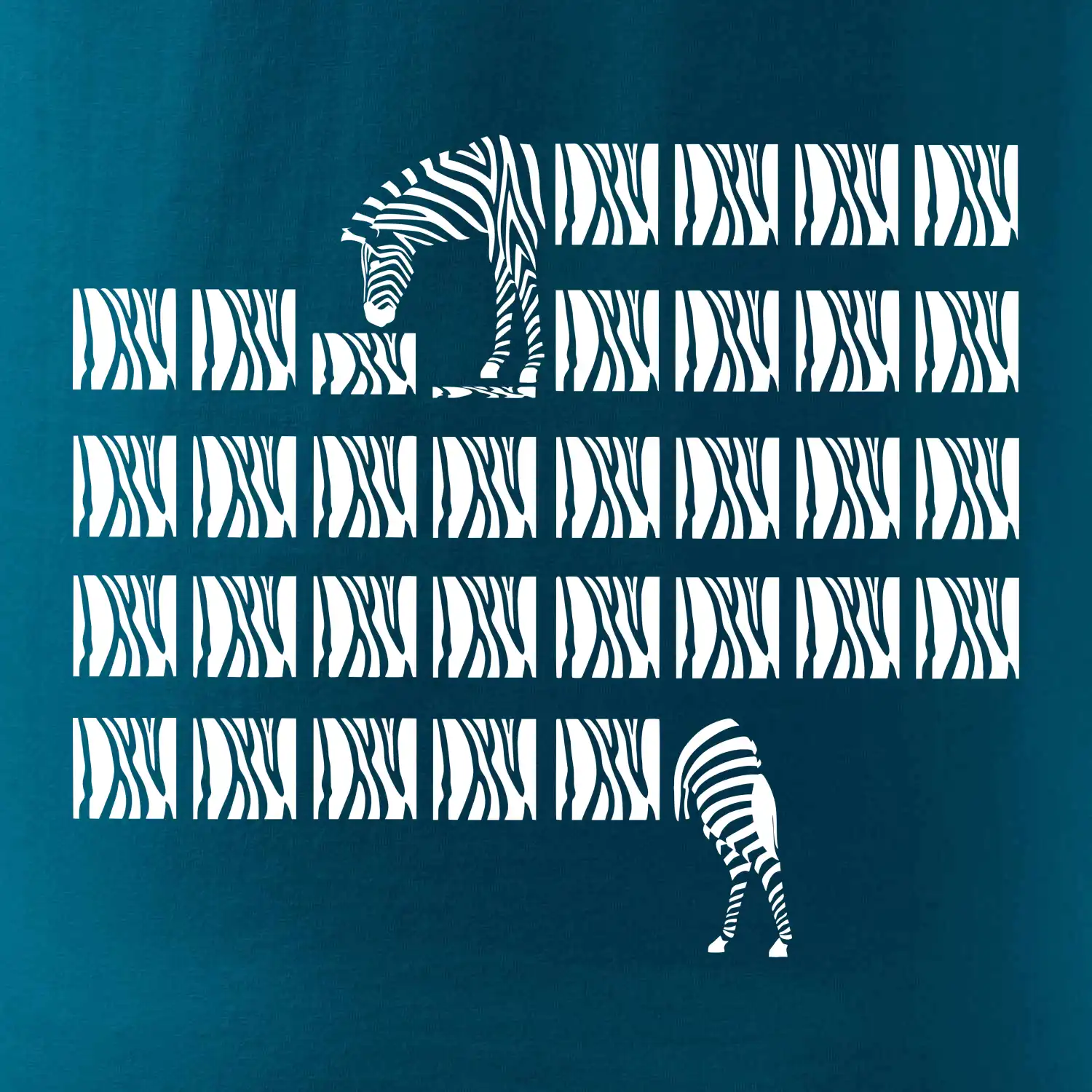 Zebra dlouhá