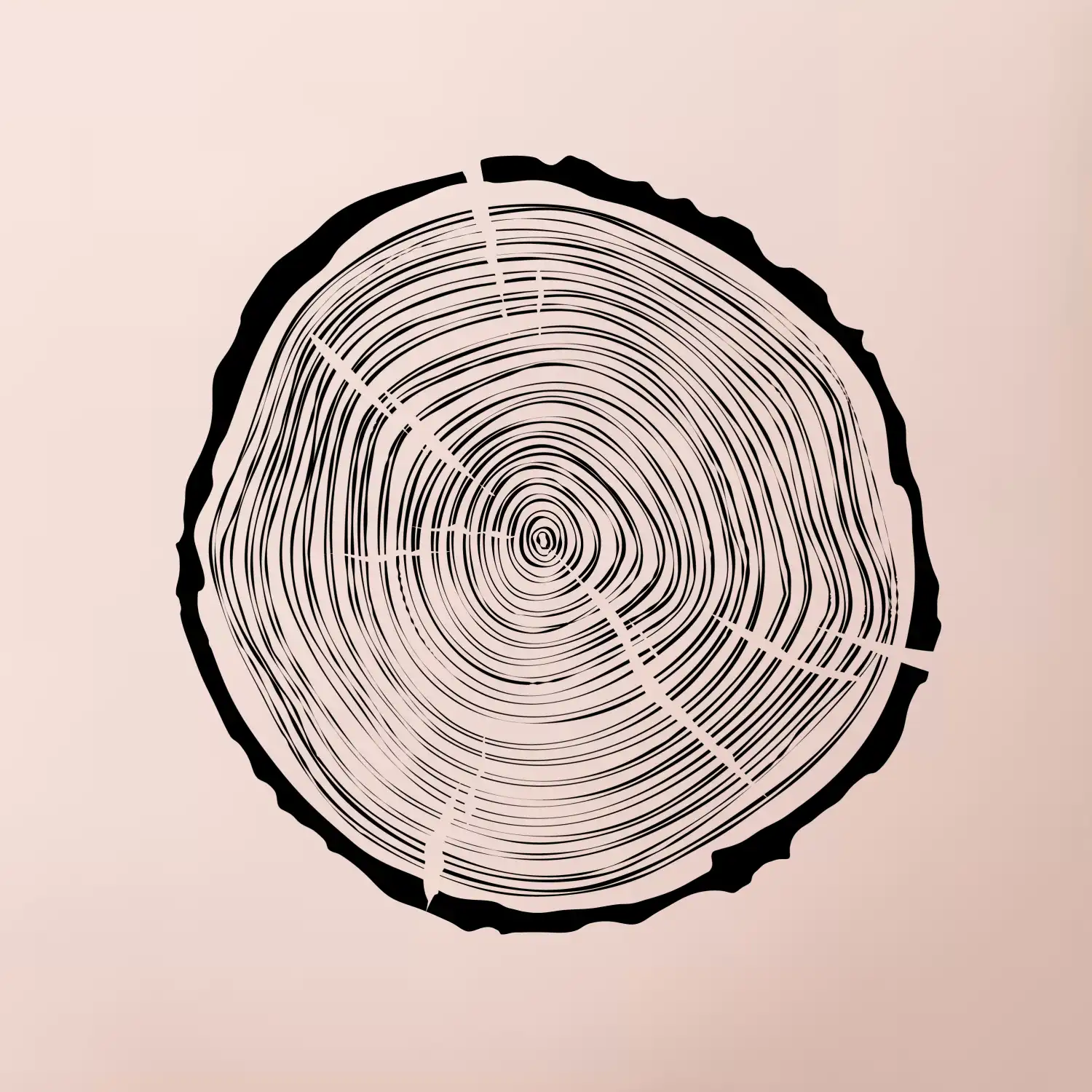 Letokruhy 40 bez věku