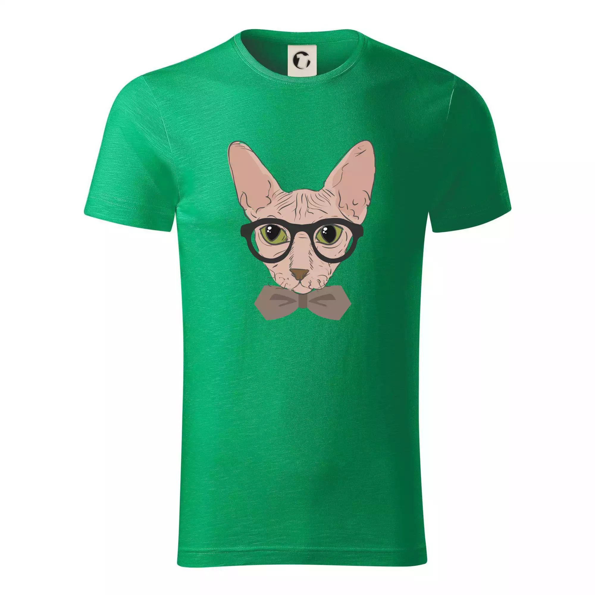 Hipster sphynx
