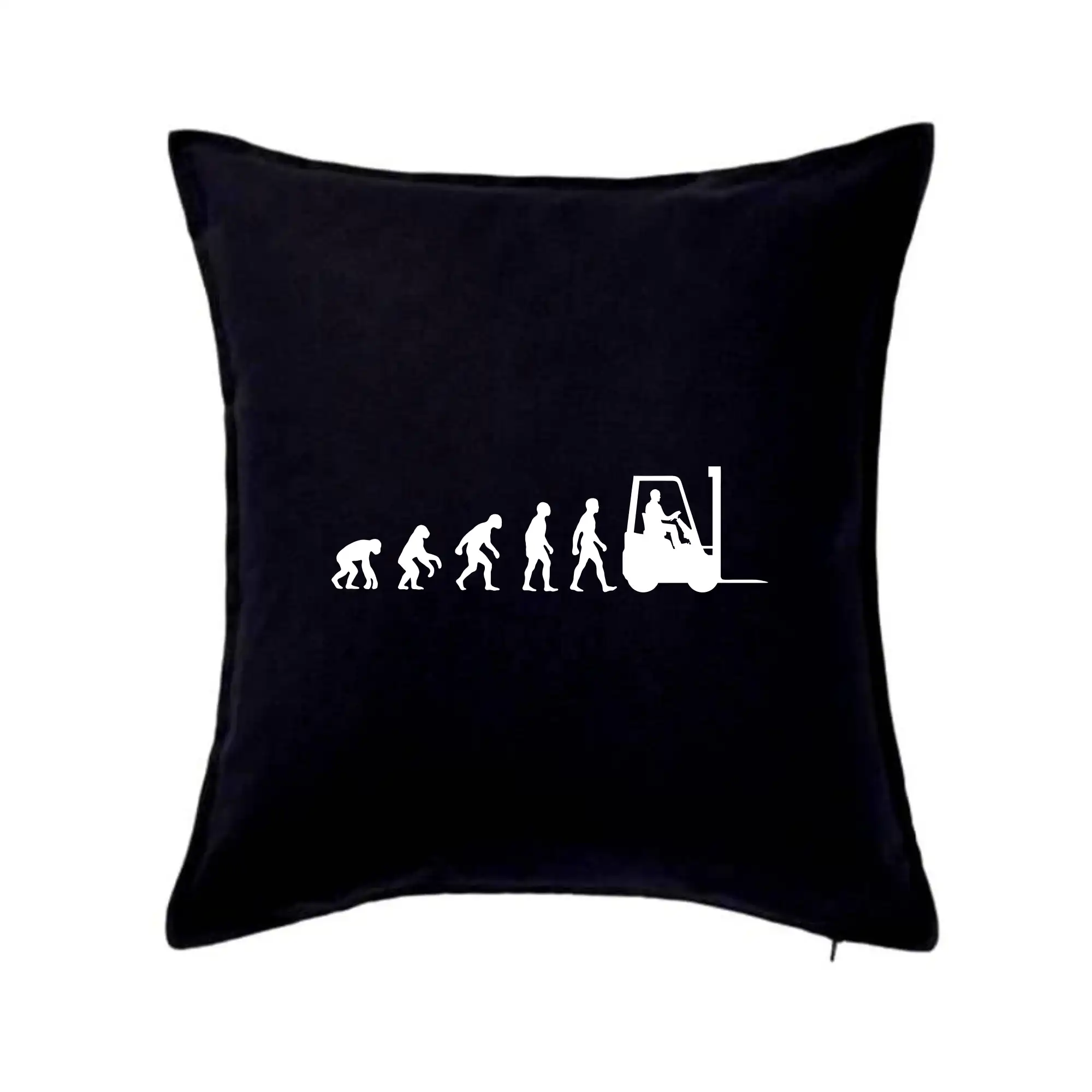 Evolúcia jašterica